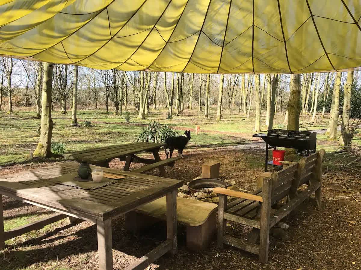 Picture of the site