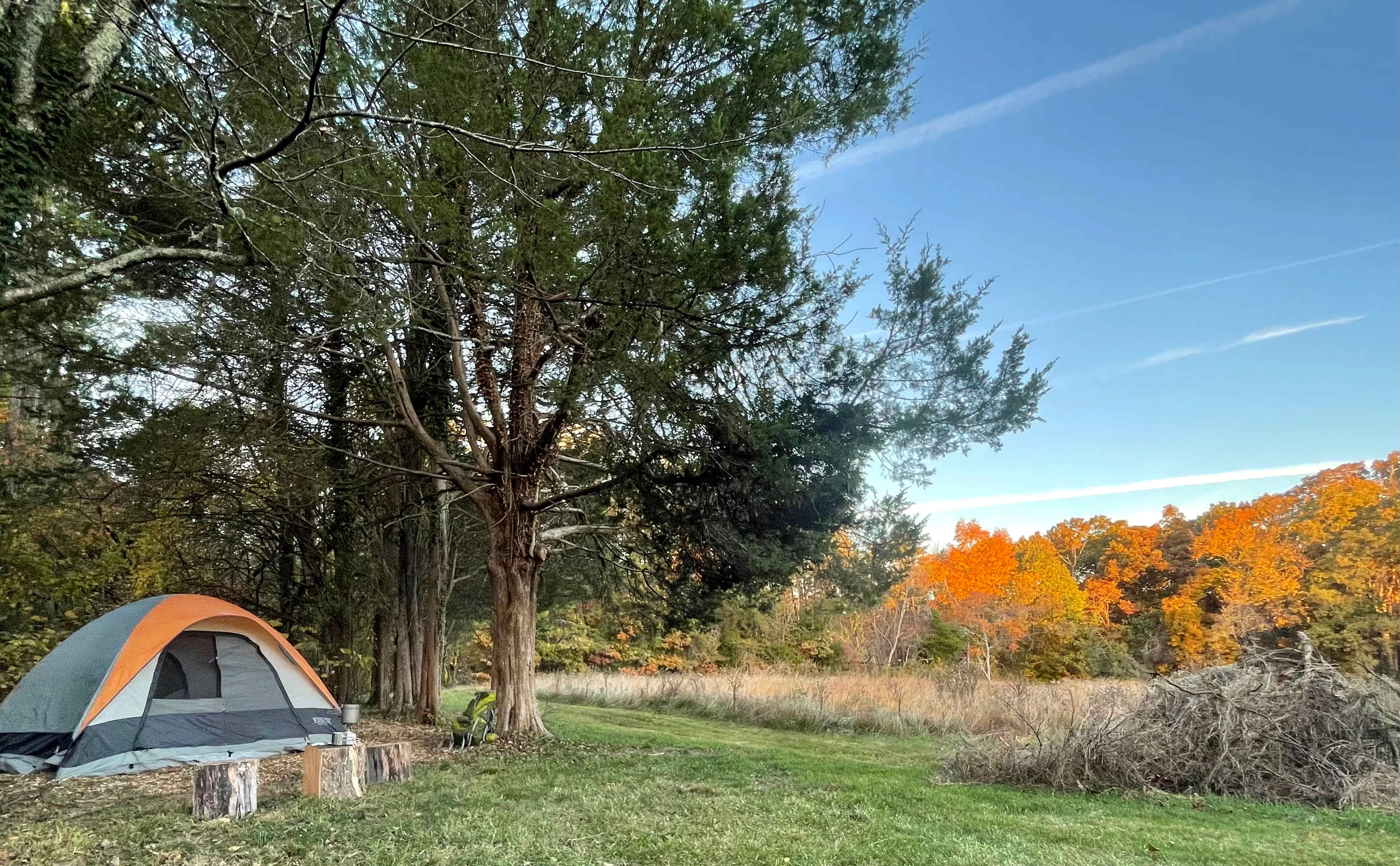 “The Cedars” is closest to the parking area and water source, also has a perfect view of the 250 year old oak tree in the yard. Plenty of space and nearby trail access. 
