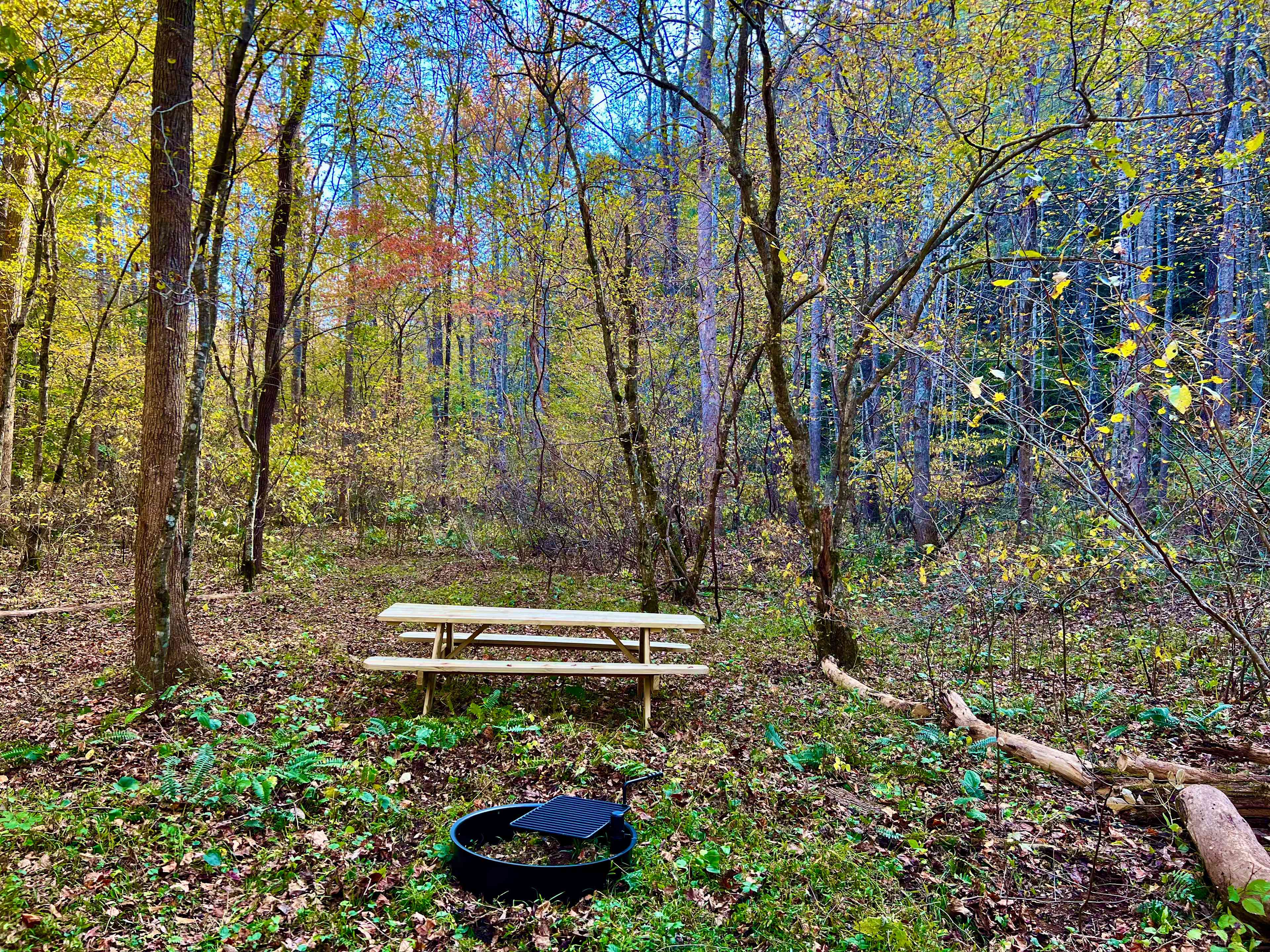 TangleWood Creekside Campsites