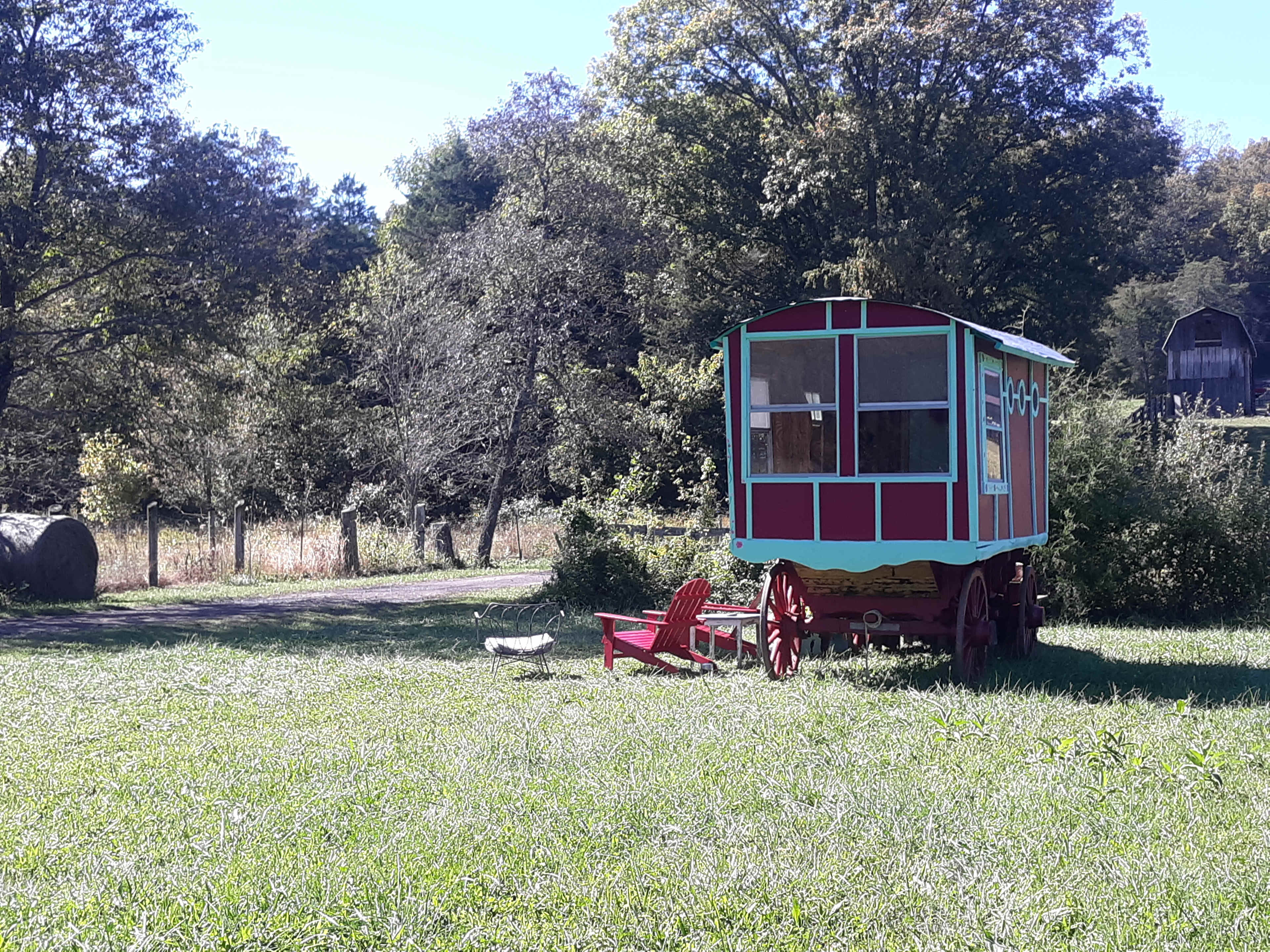 Picture of the site
