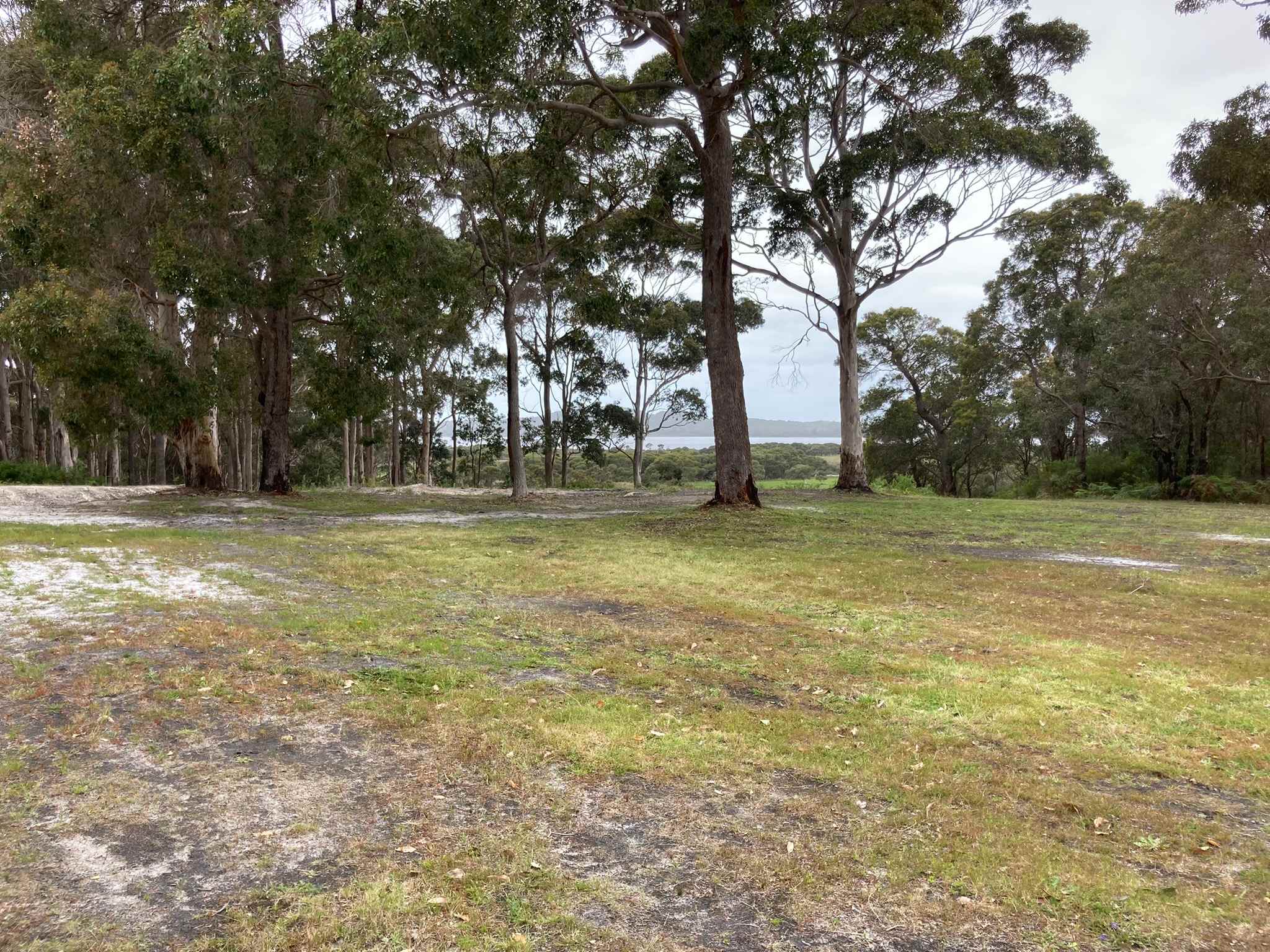 Irwin Inlet Views