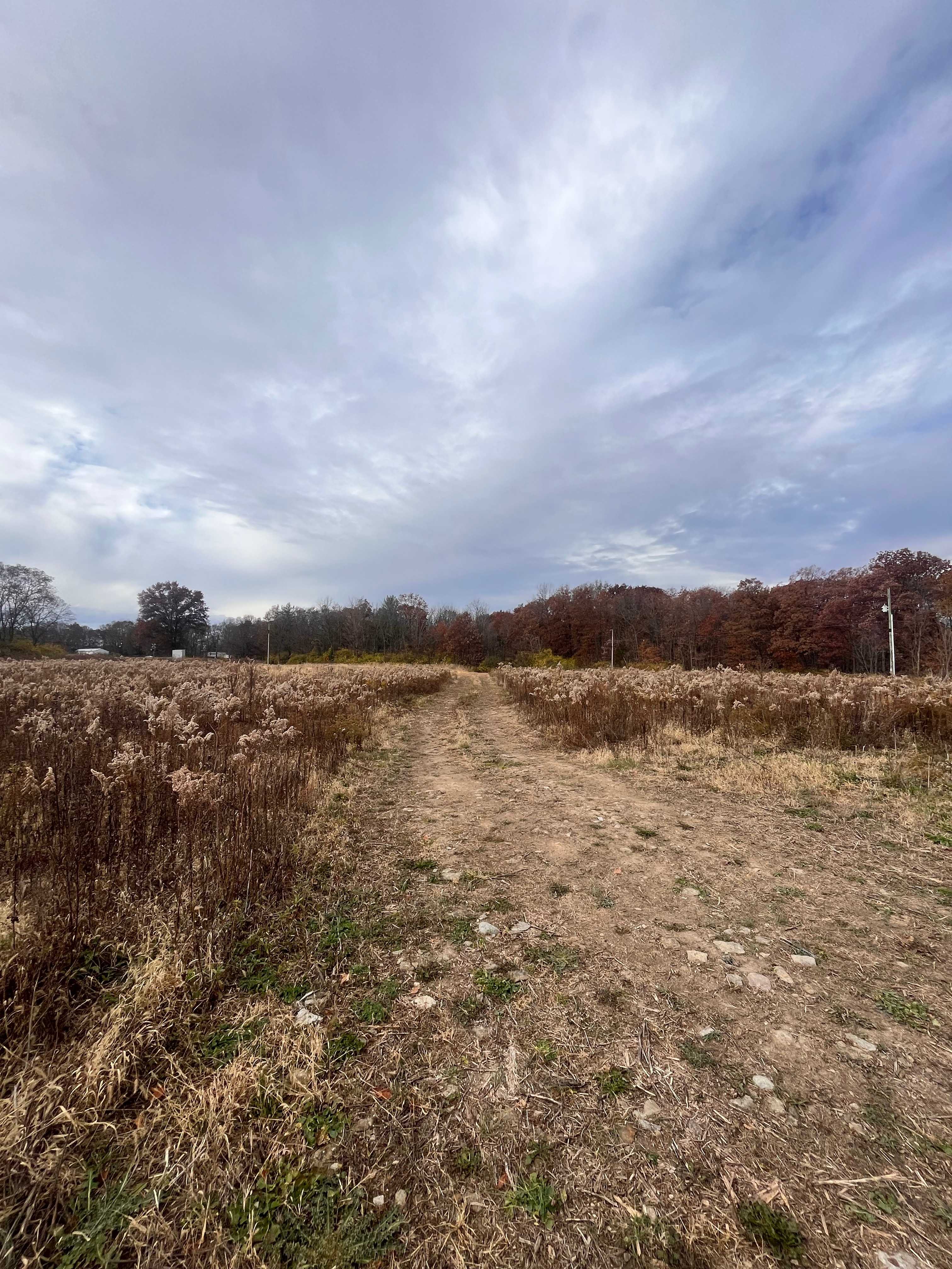 Flint Farm: Attica,IN