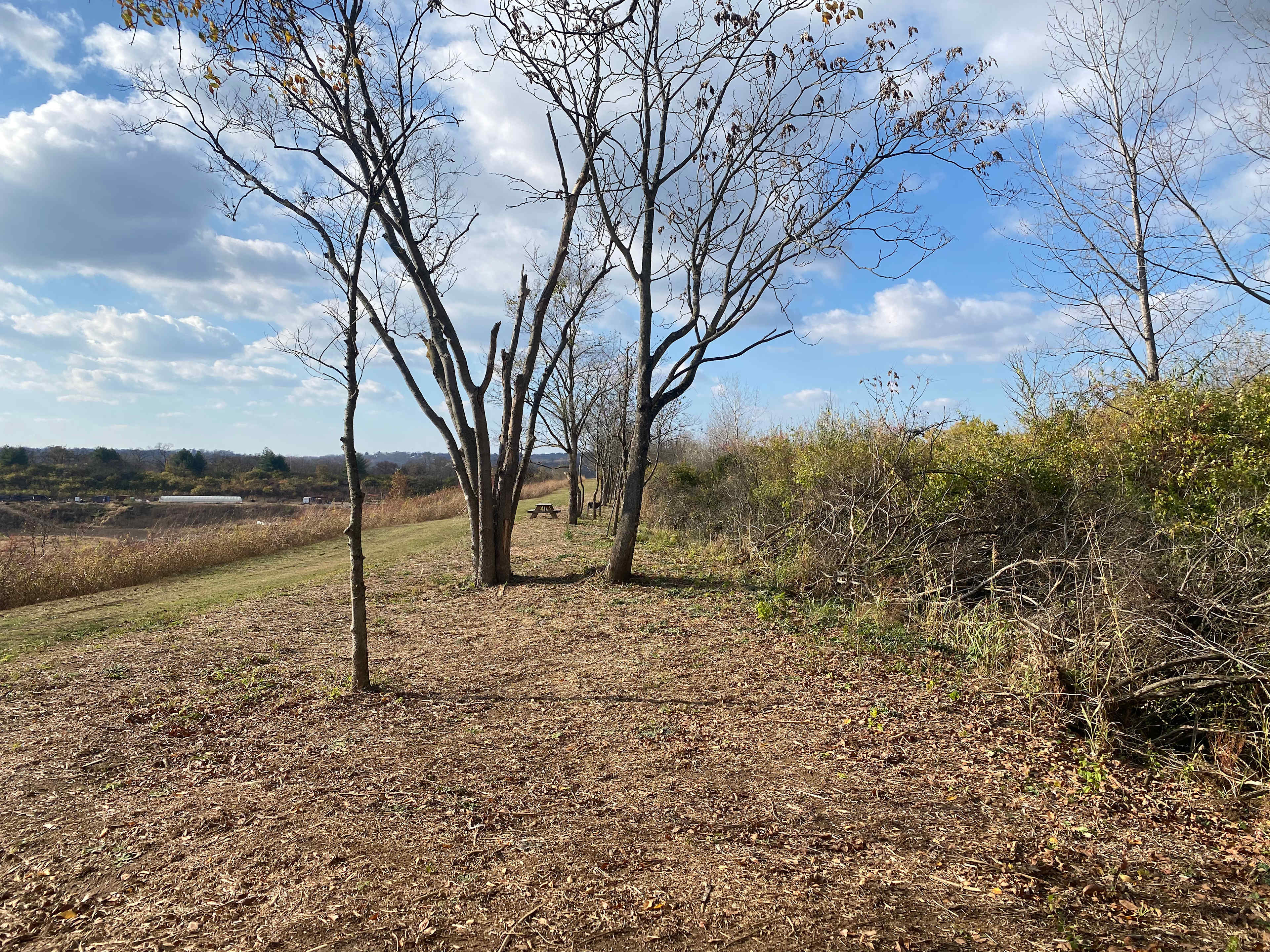 Nice open space.