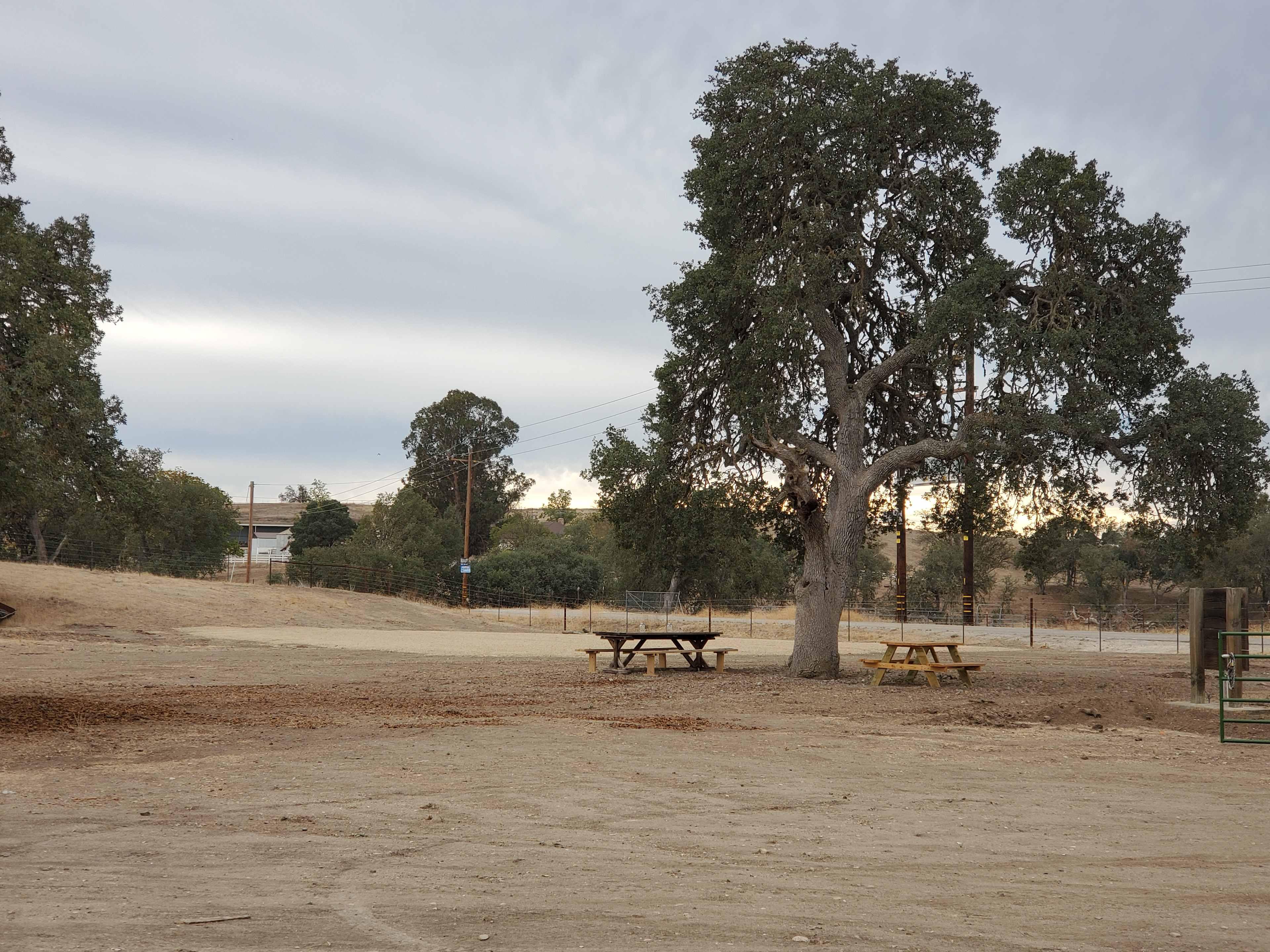Site 1 and 2 offer a road base pad, just beyond the tree.
