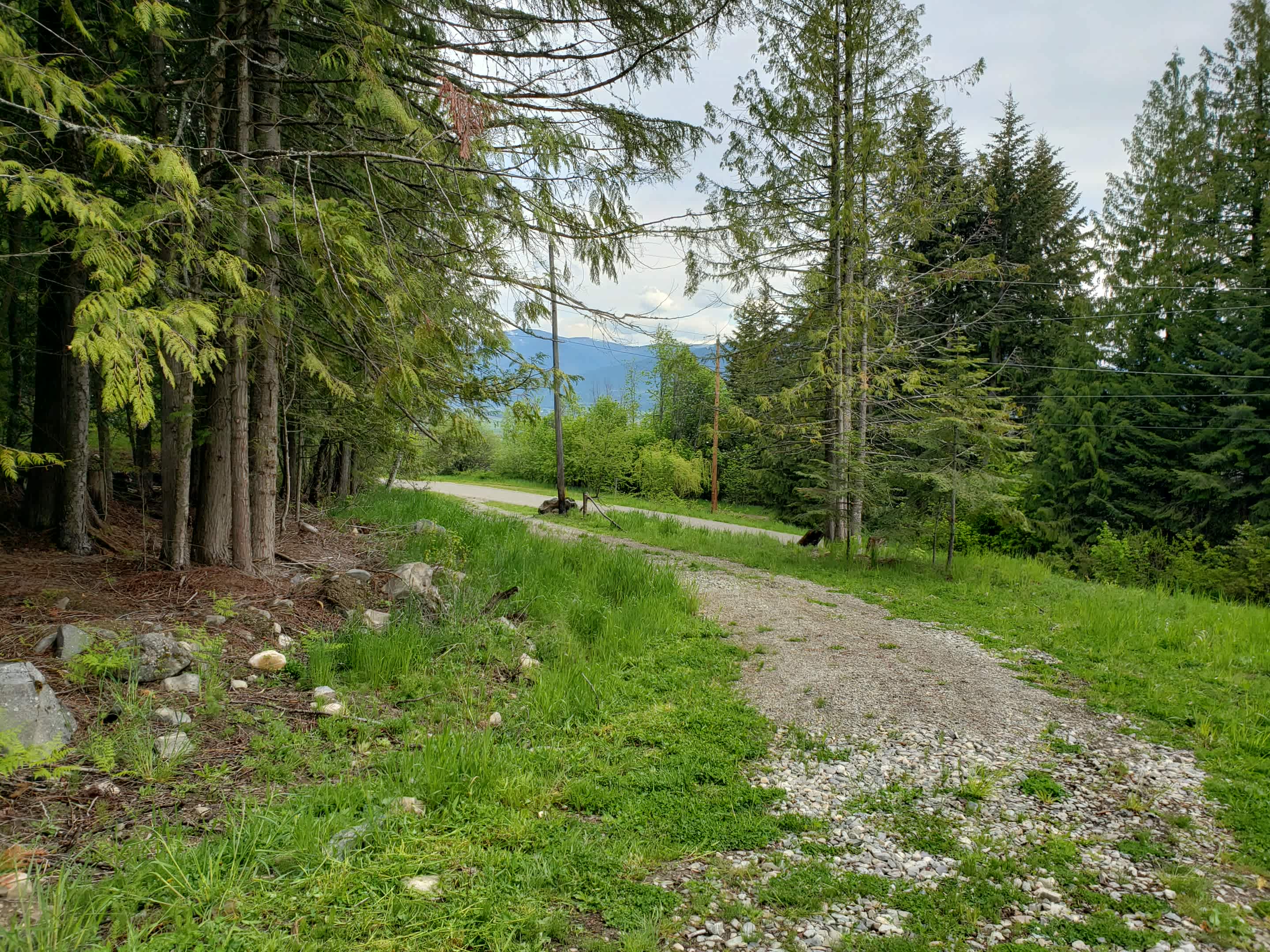 Blackberry Hill