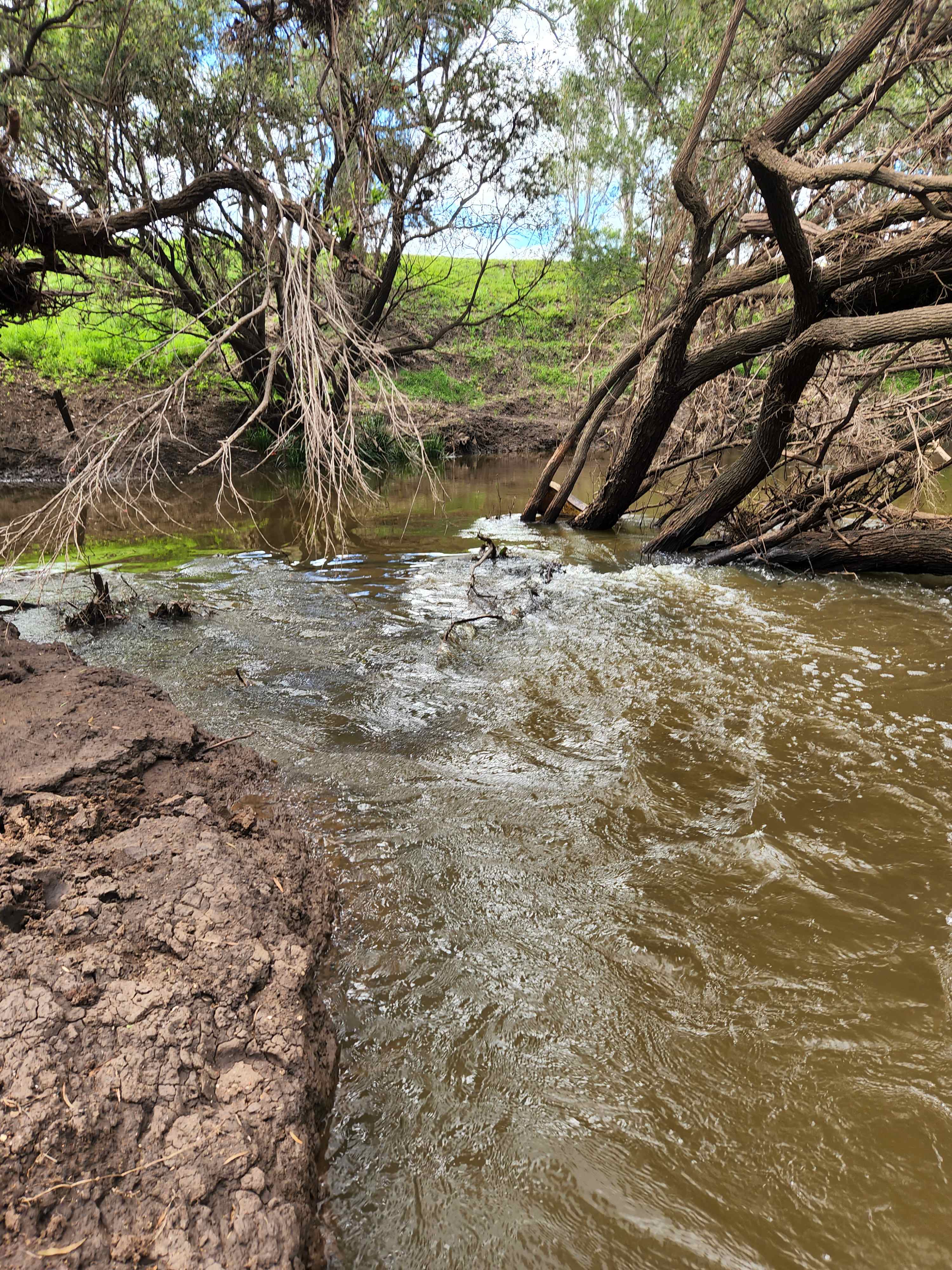 Lovely place to swim and fish