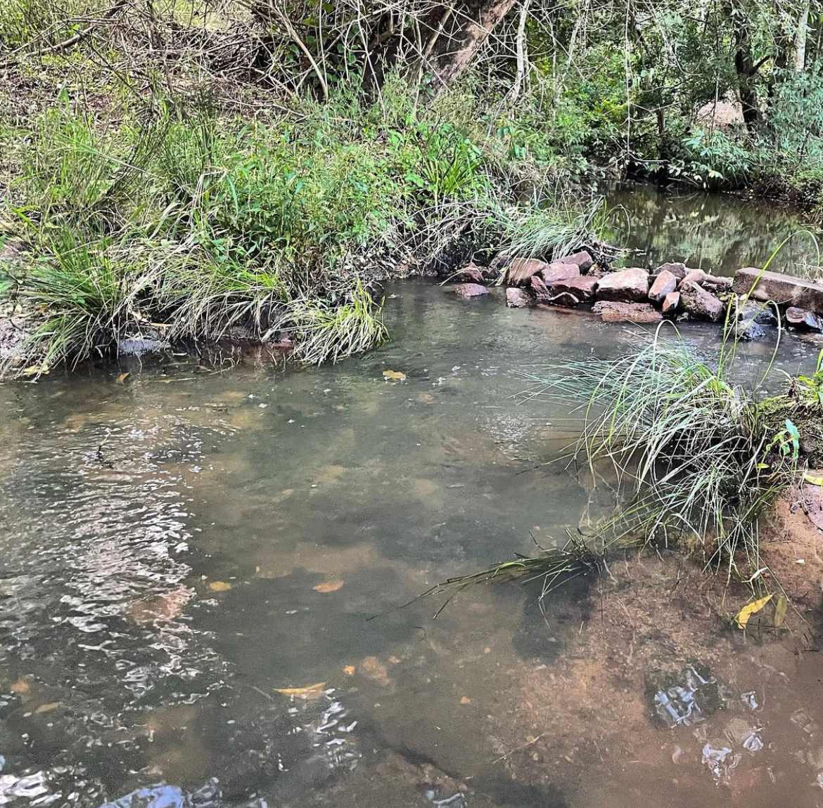 Scrubby Creek perfect for a dip. All sites have creek frontage