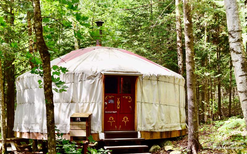 Back to Nature Eco-Lodging
