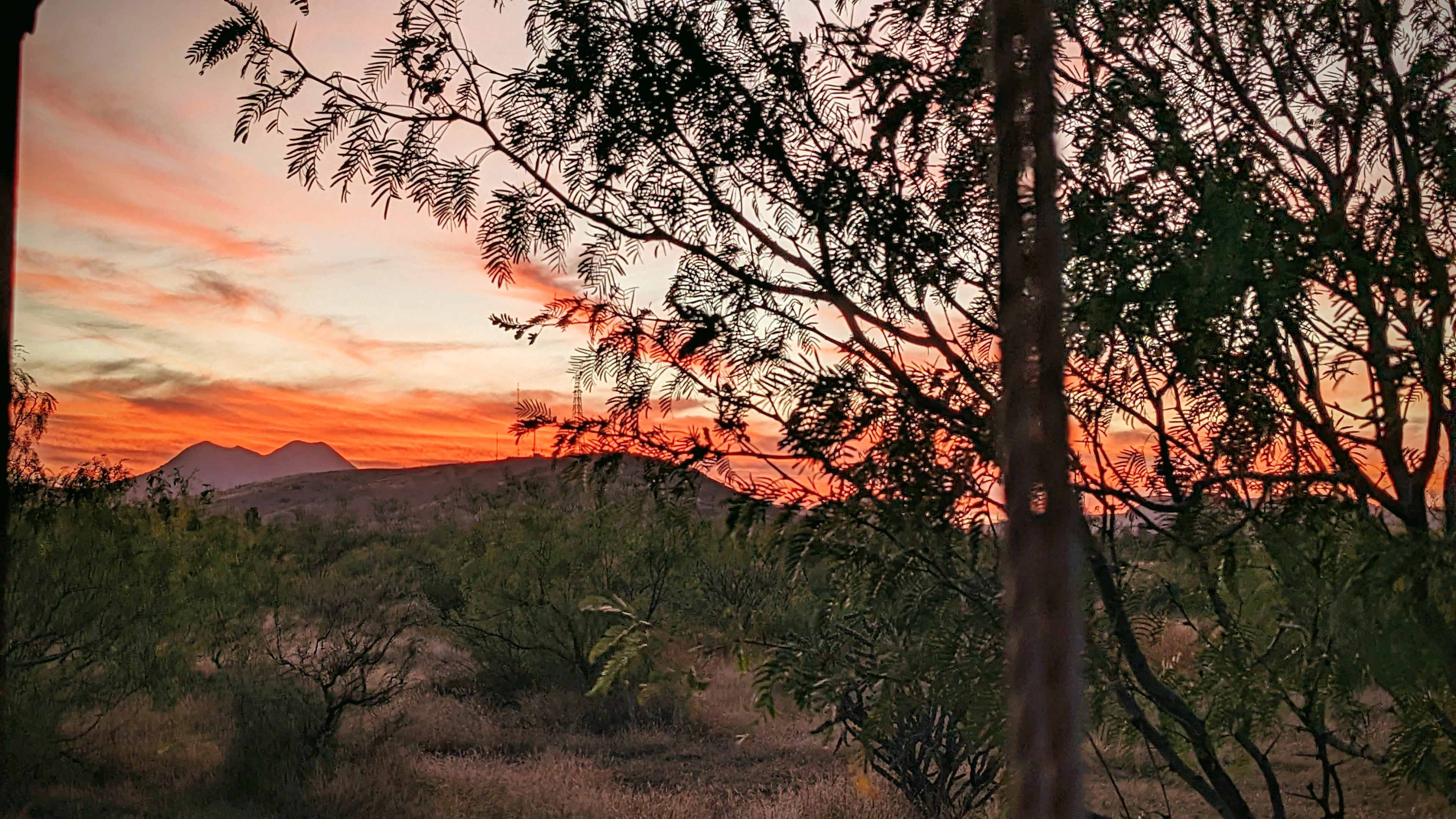 Cholla Ranch Camp, Glamping Tents