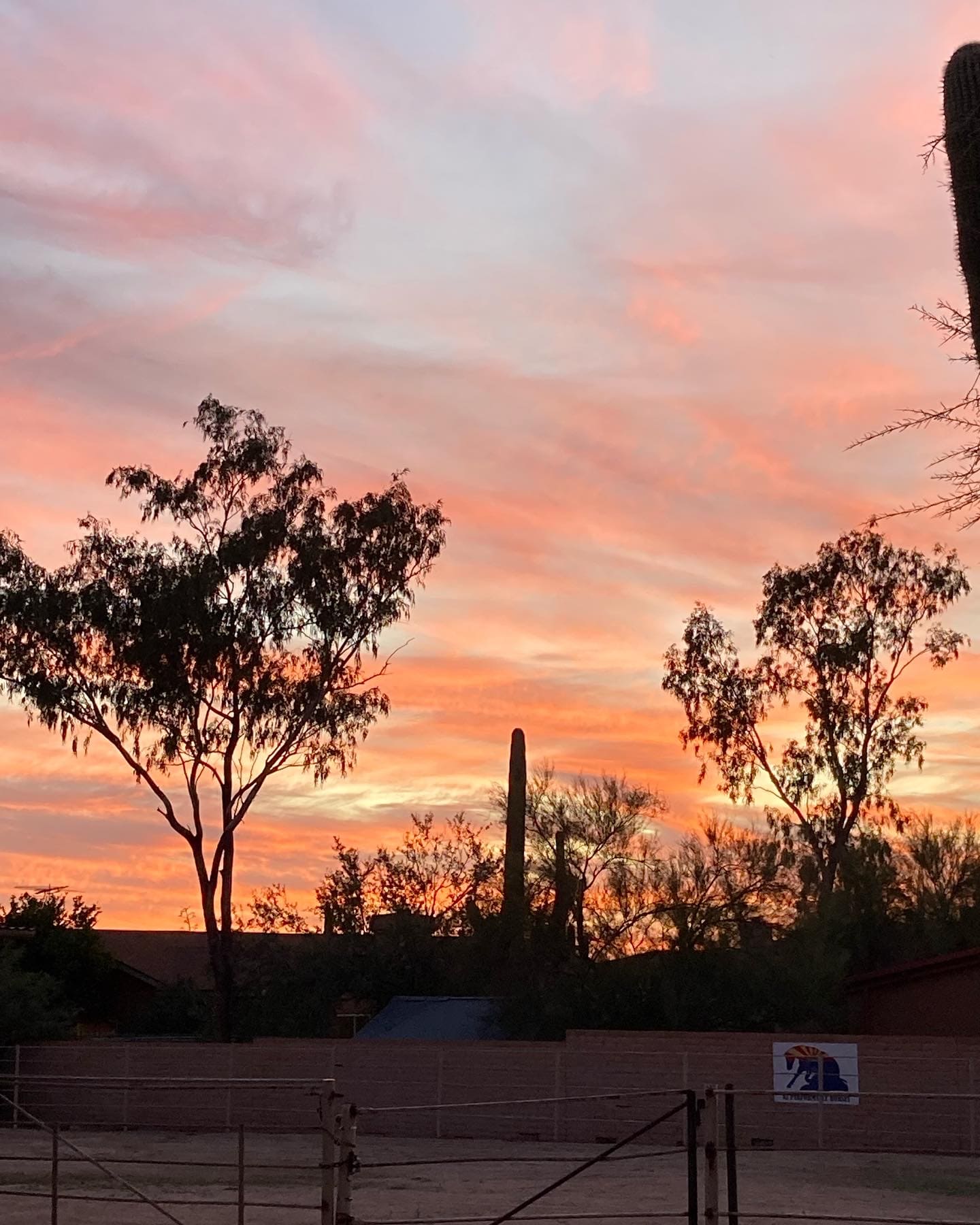 Back of property view