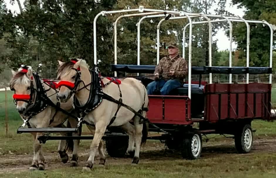 Cedar Fire farm: Kamp kessa