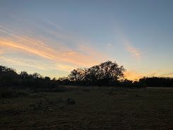 Brown Chicken Brown Cow Ranch