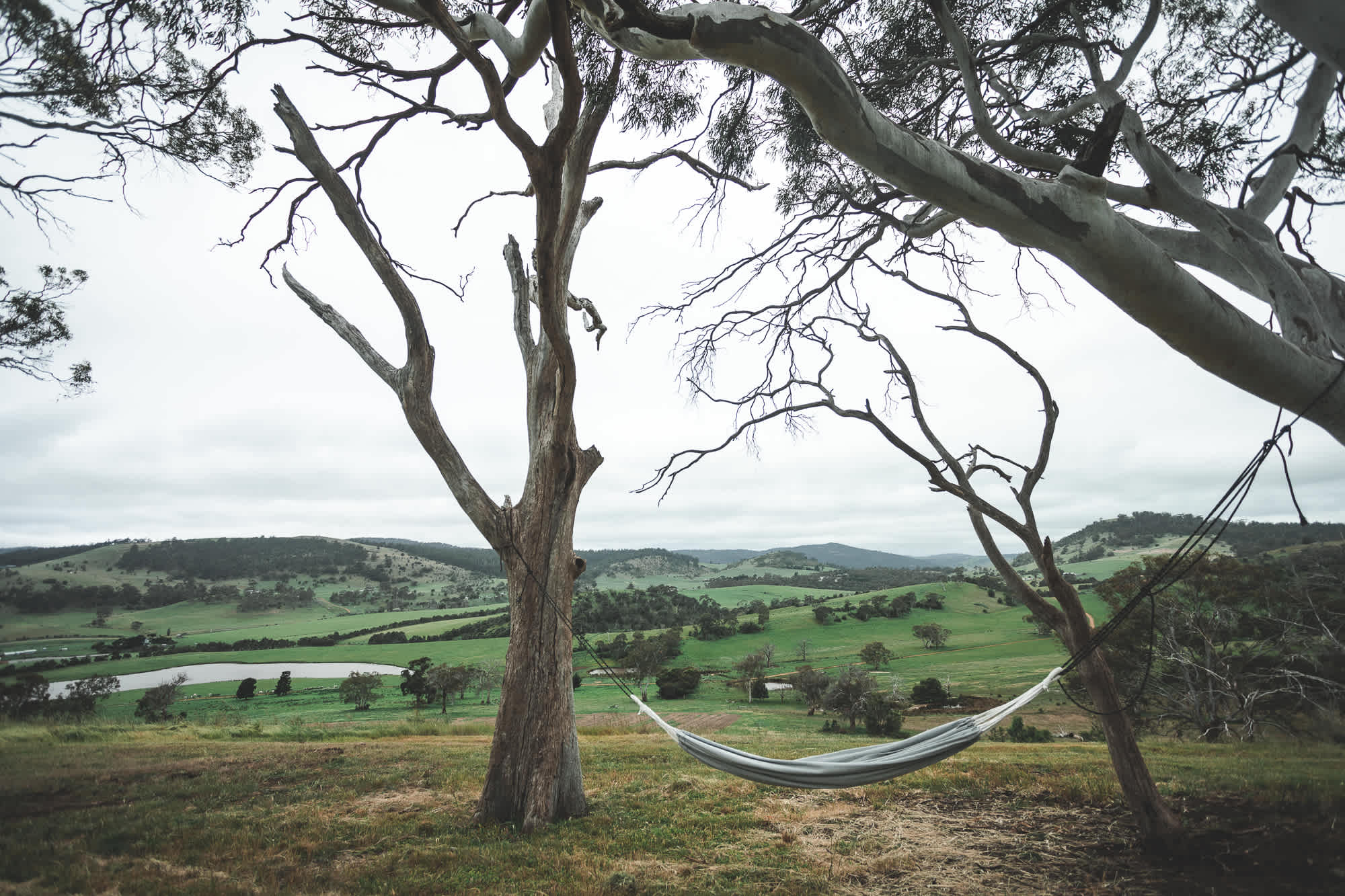 Prossers Ridge Richmond