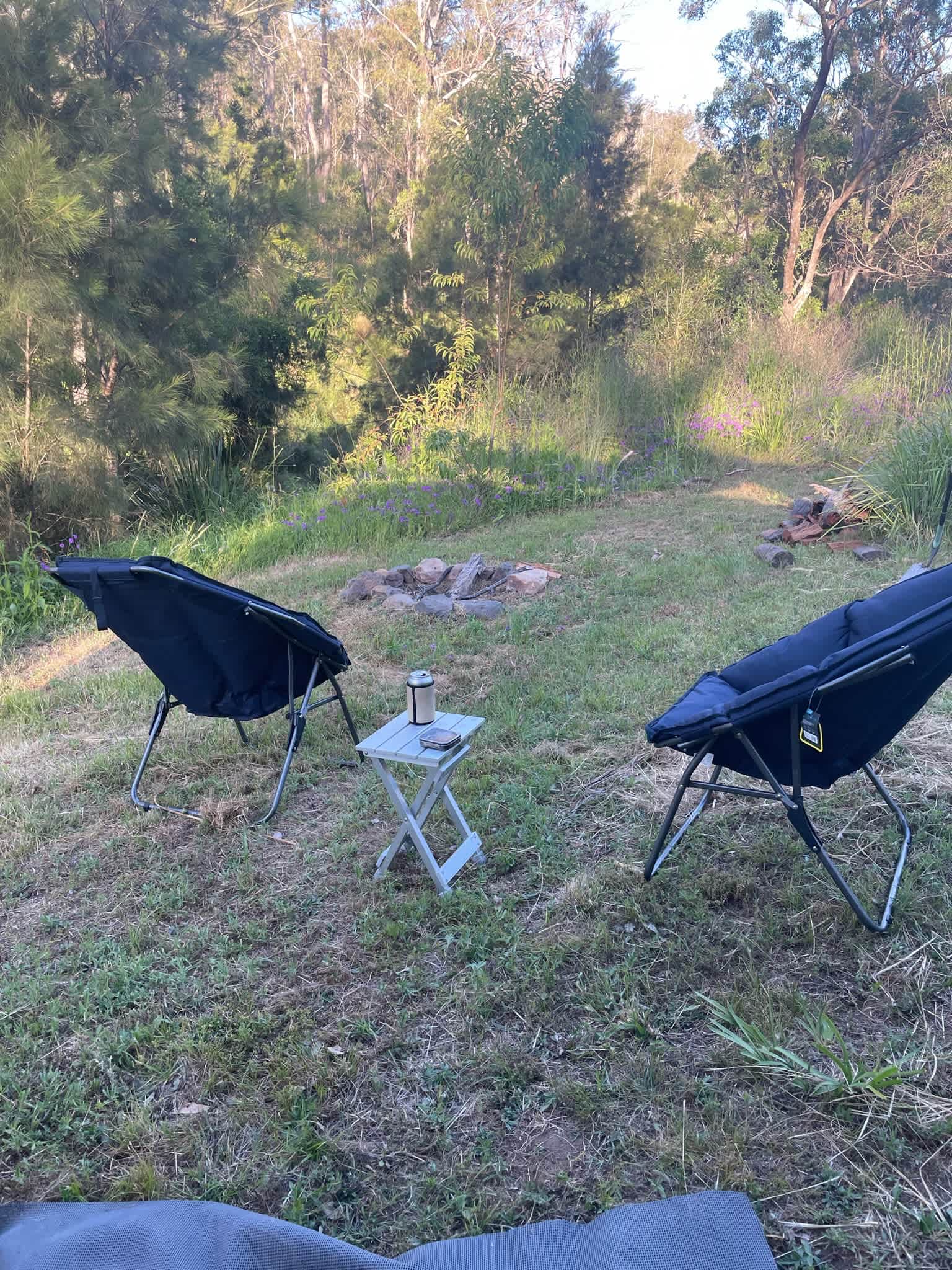 Wild Peach Creek