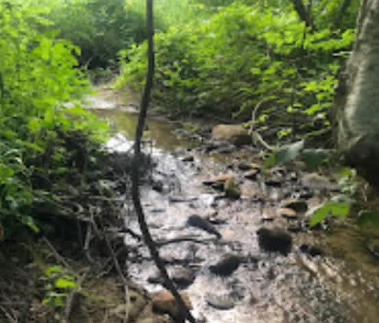 Bigfoot Brook Campground
