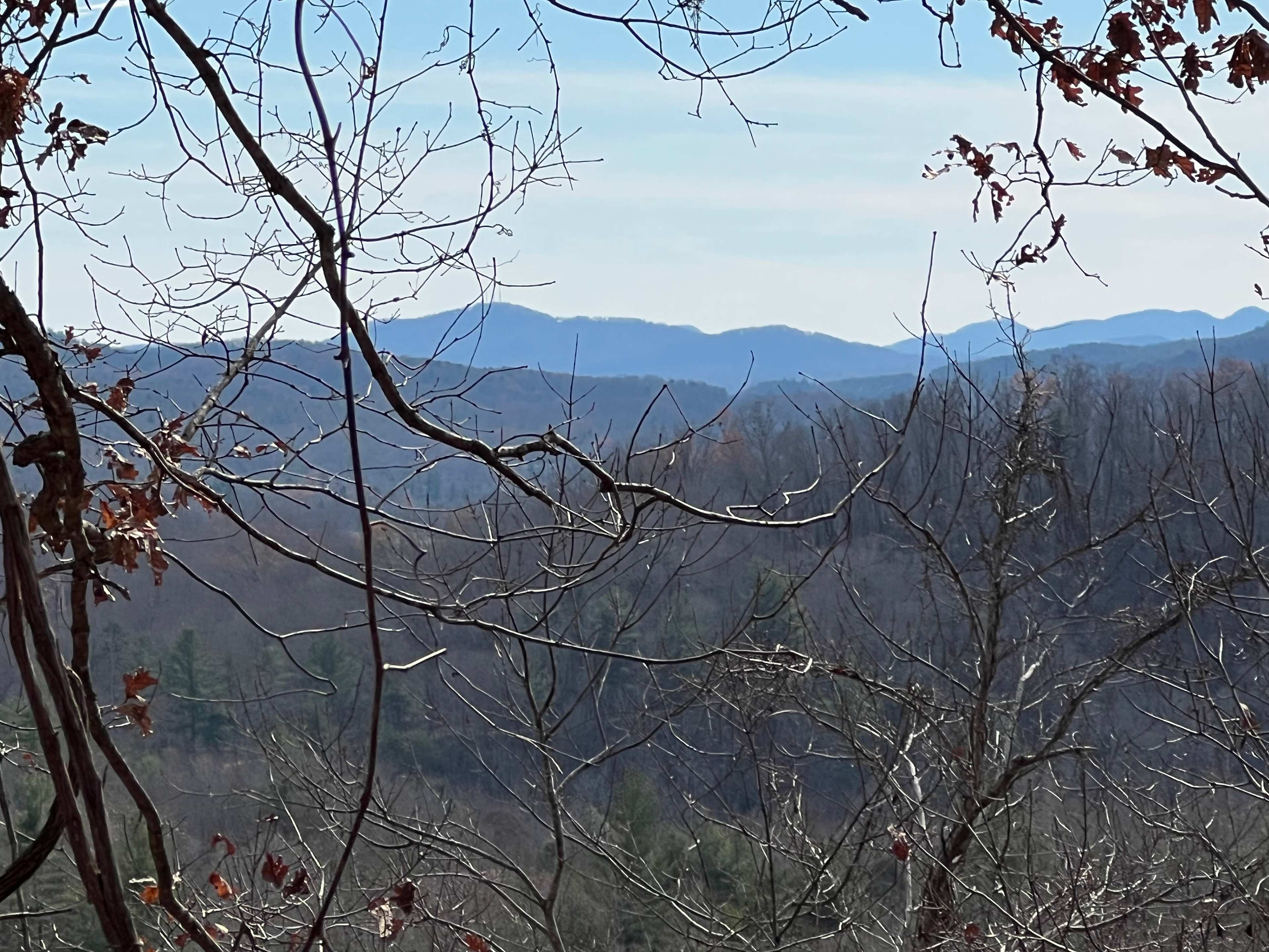 TangleWood Creekside Campsites