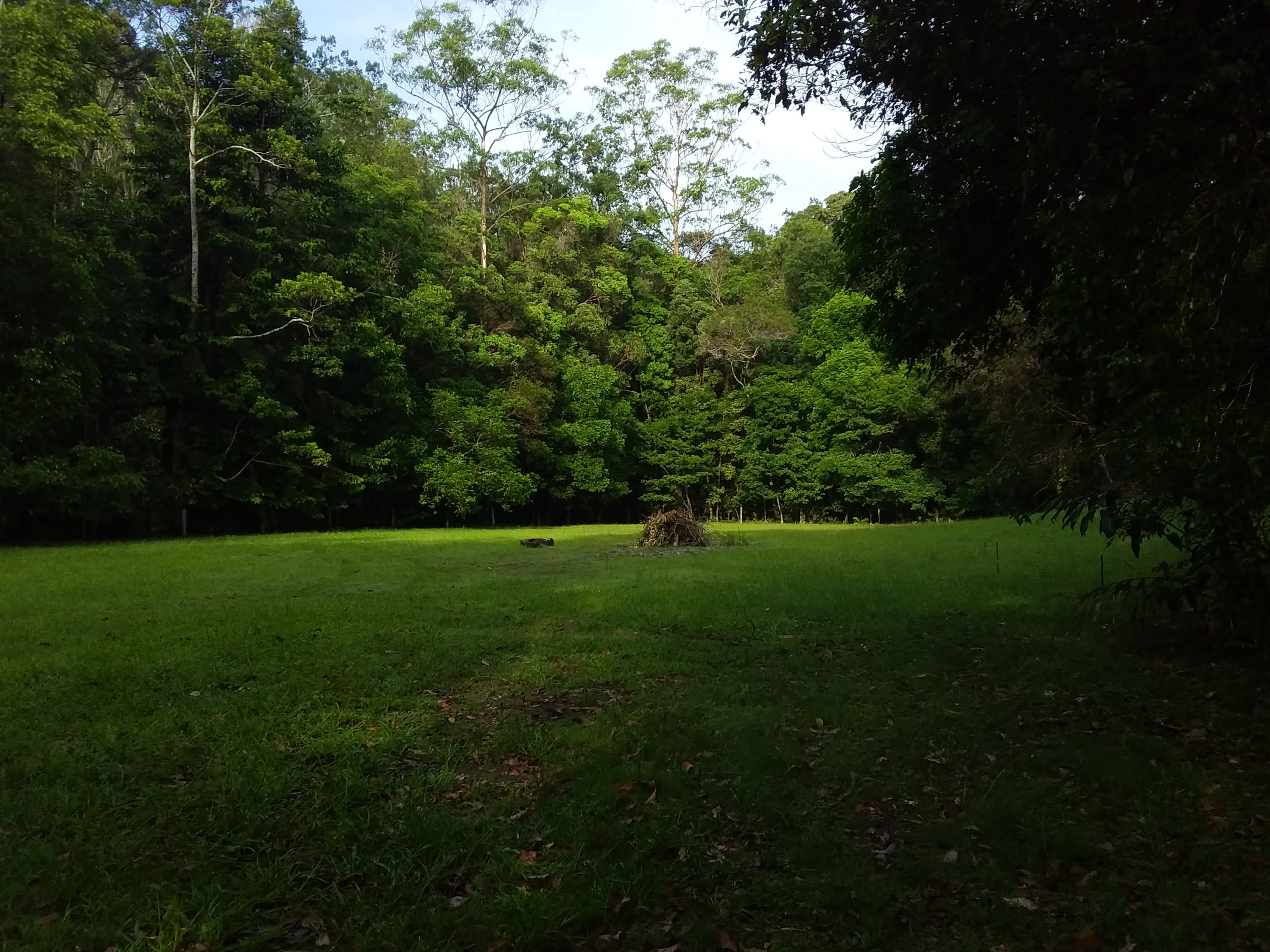 Lots of space and lots of trees