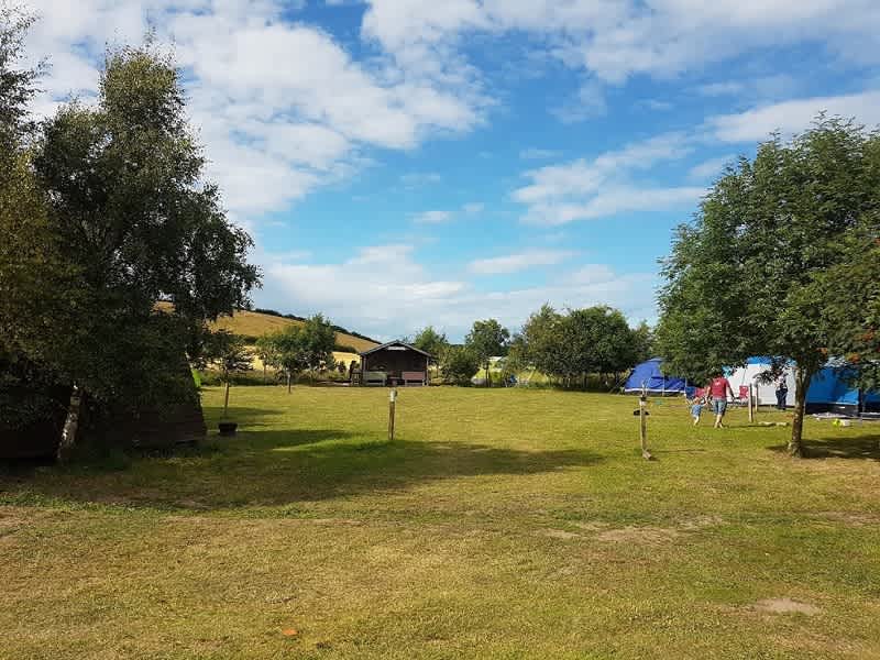 Electric pitches on the Wilderness Campsite