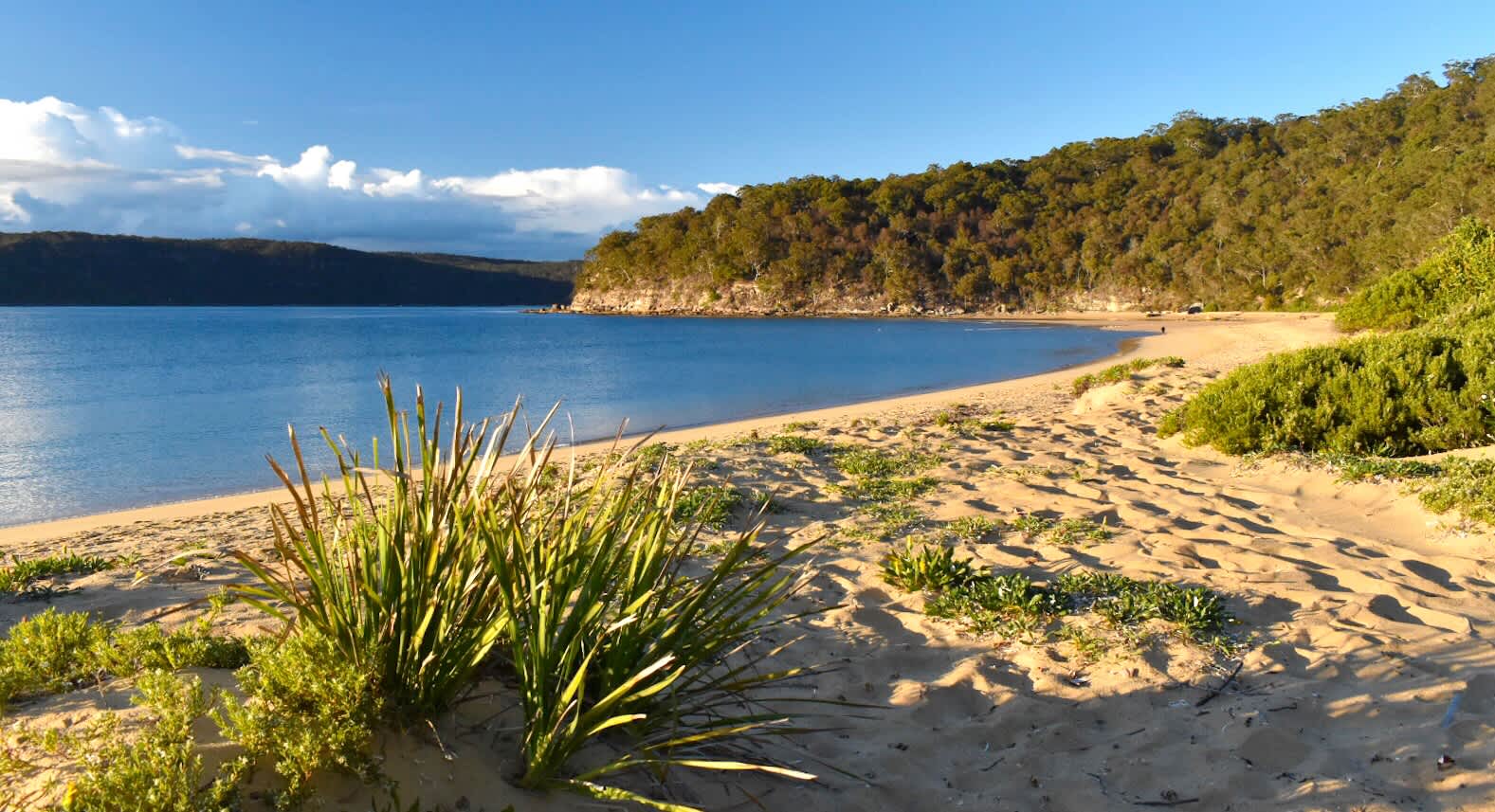 Patonga Beach