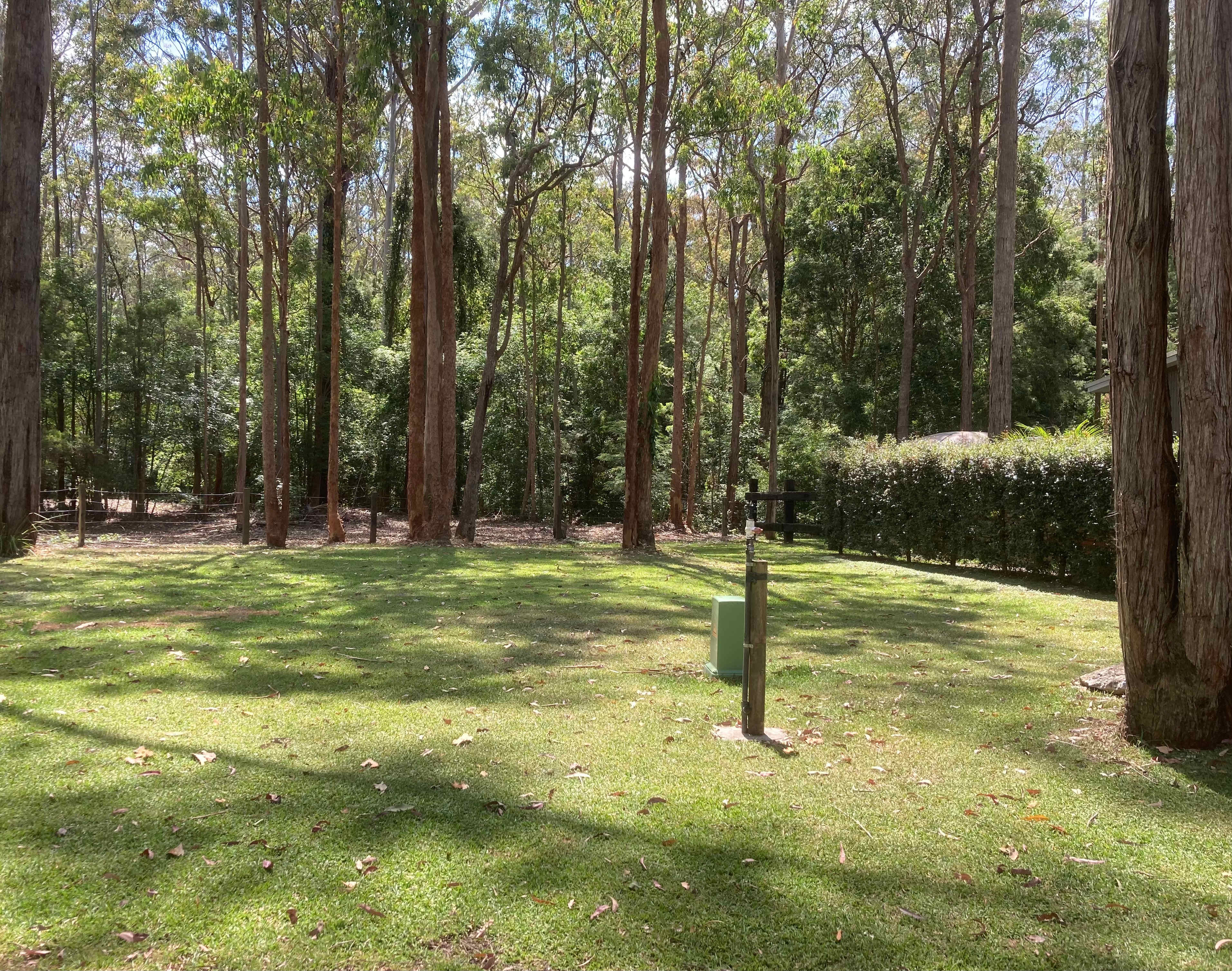 site#2 flat level ground 