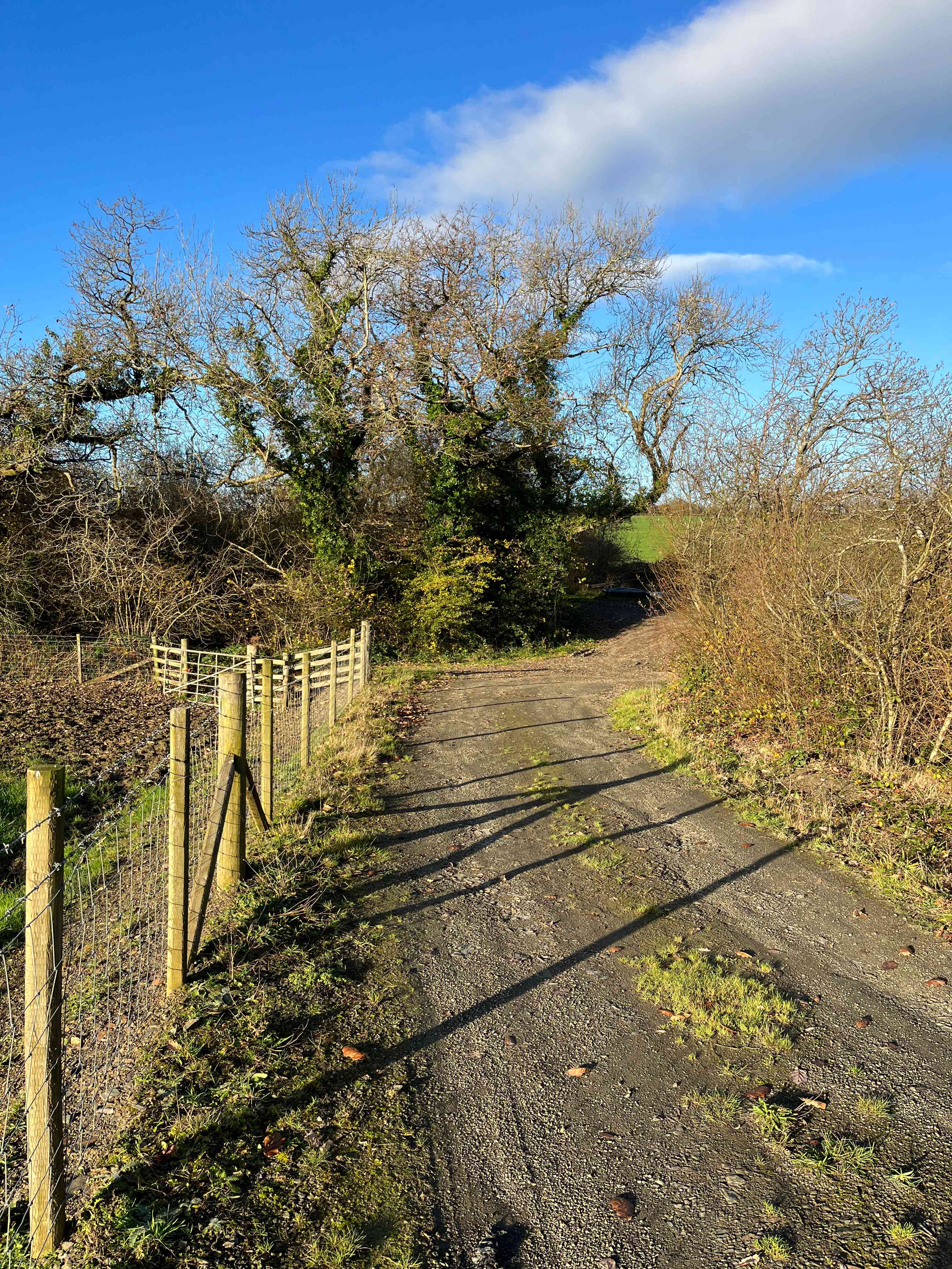The track