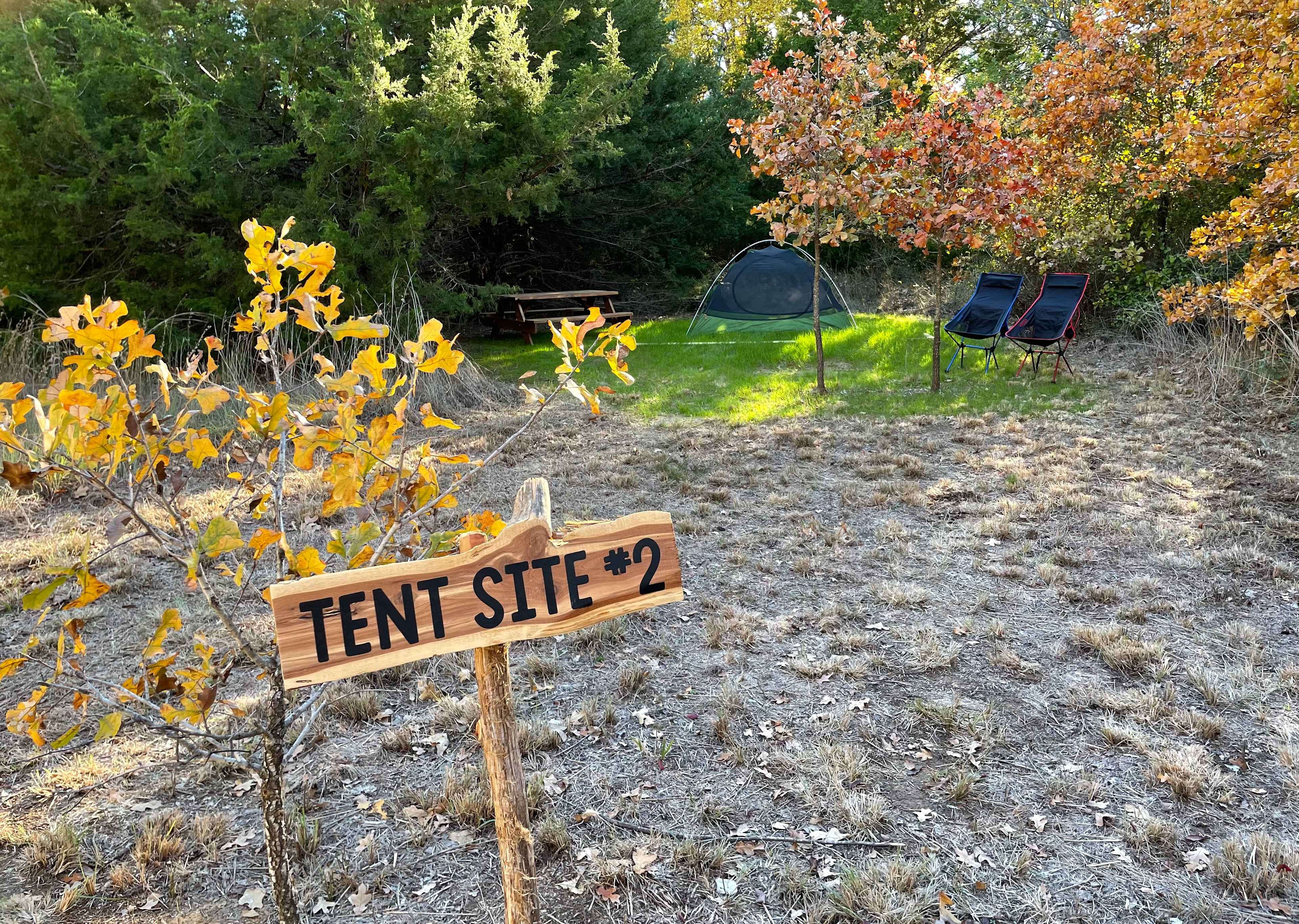 Surrounded by trees. 