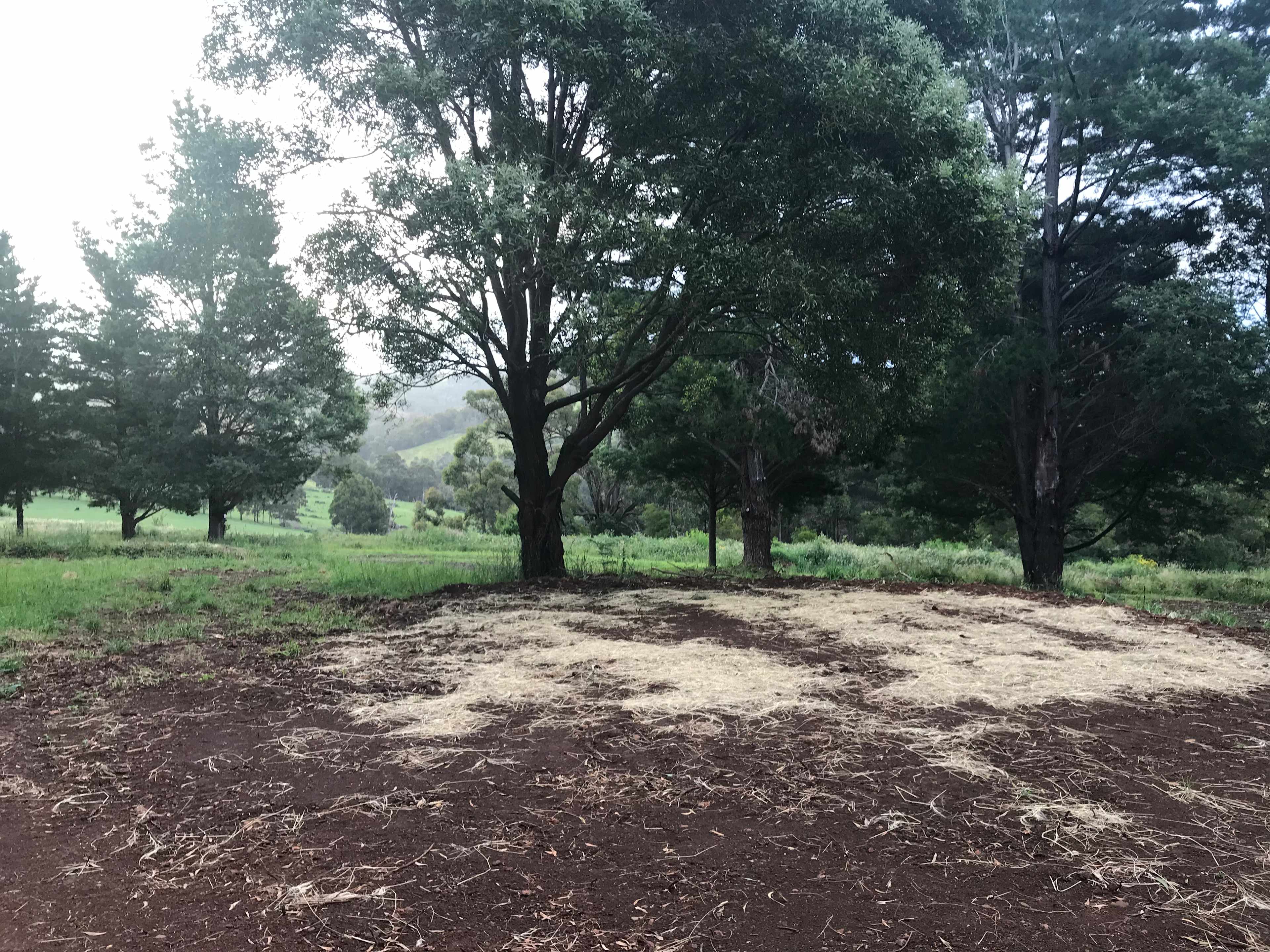 Site 3