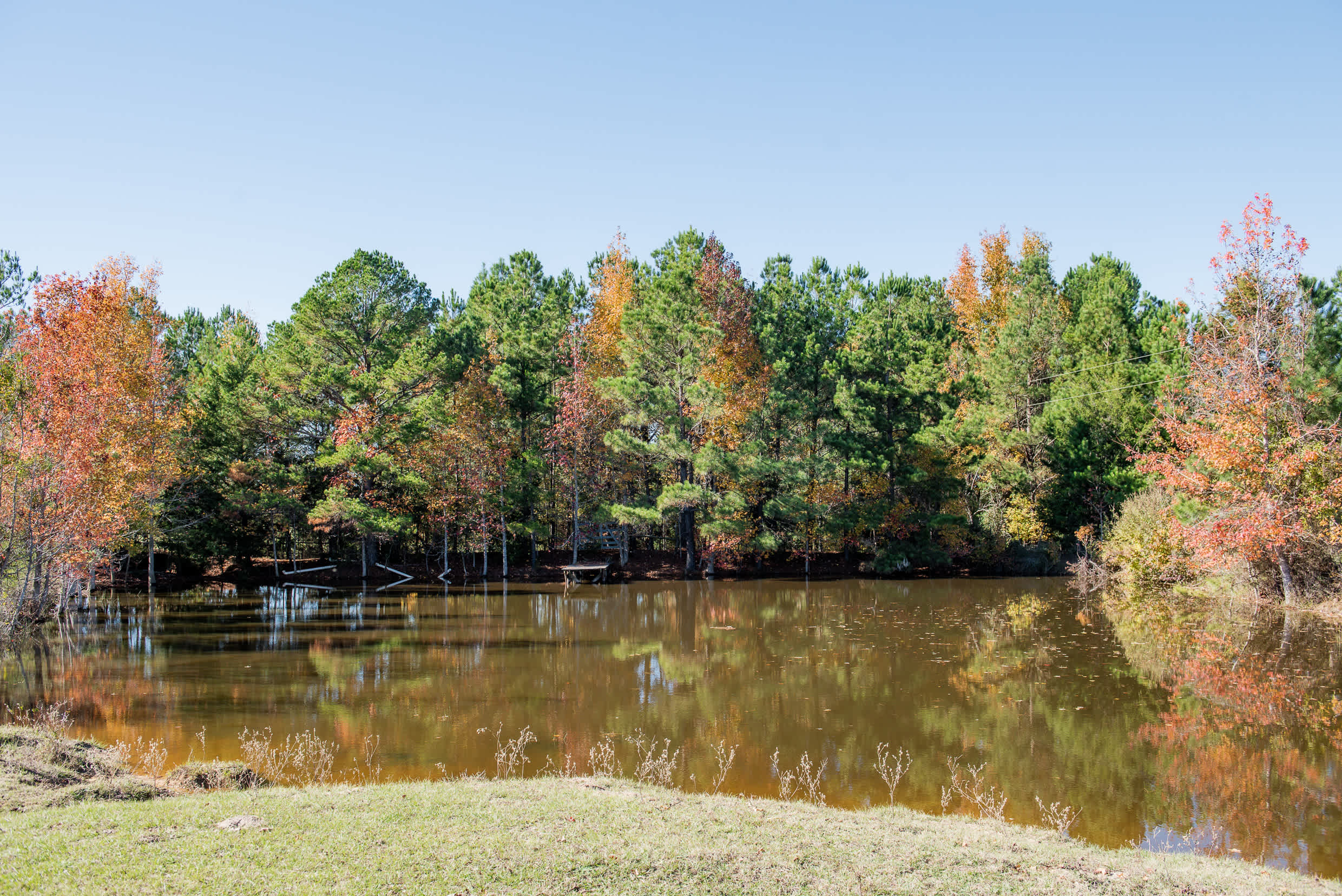 One of the two ponds on the property