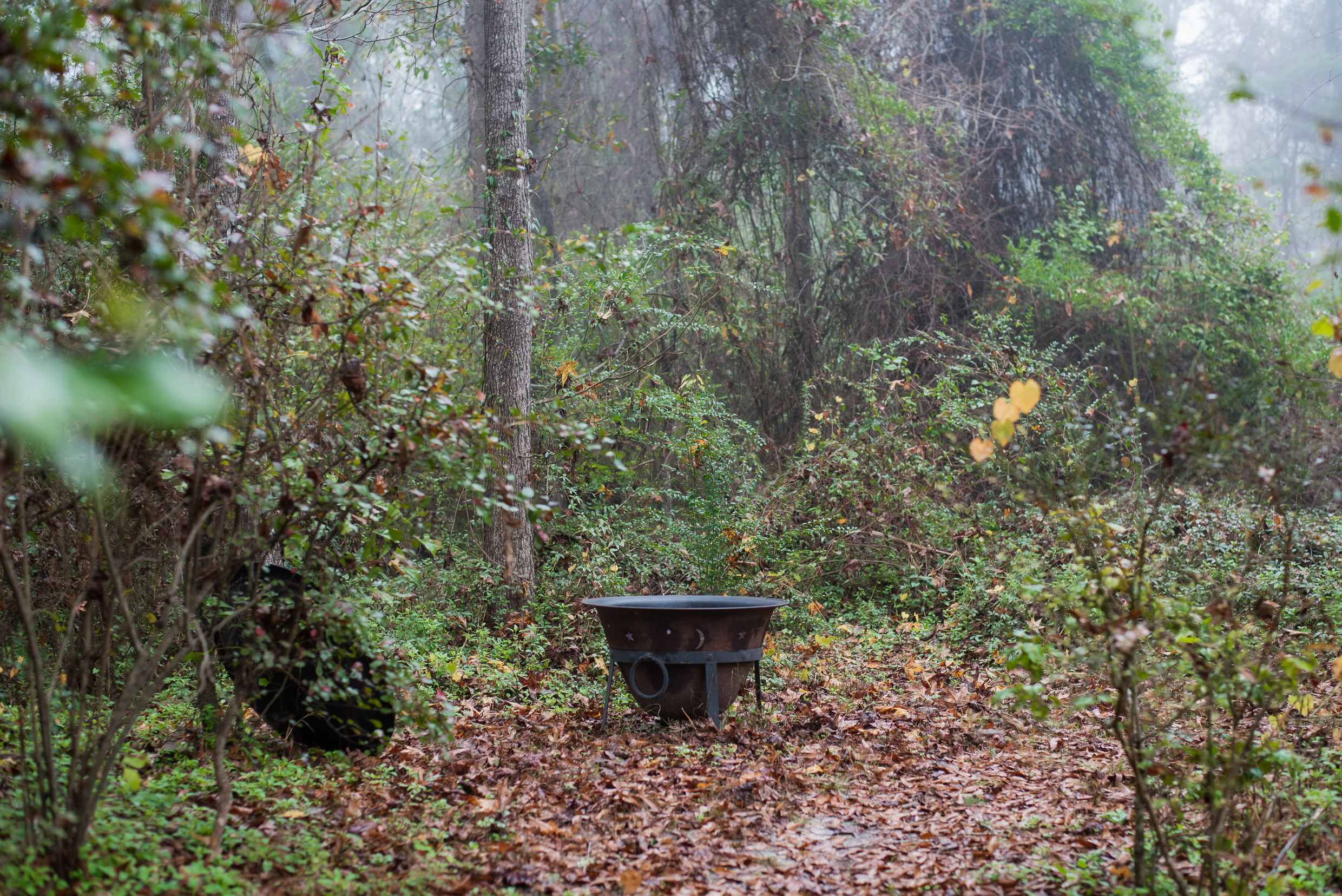 Fire pit area