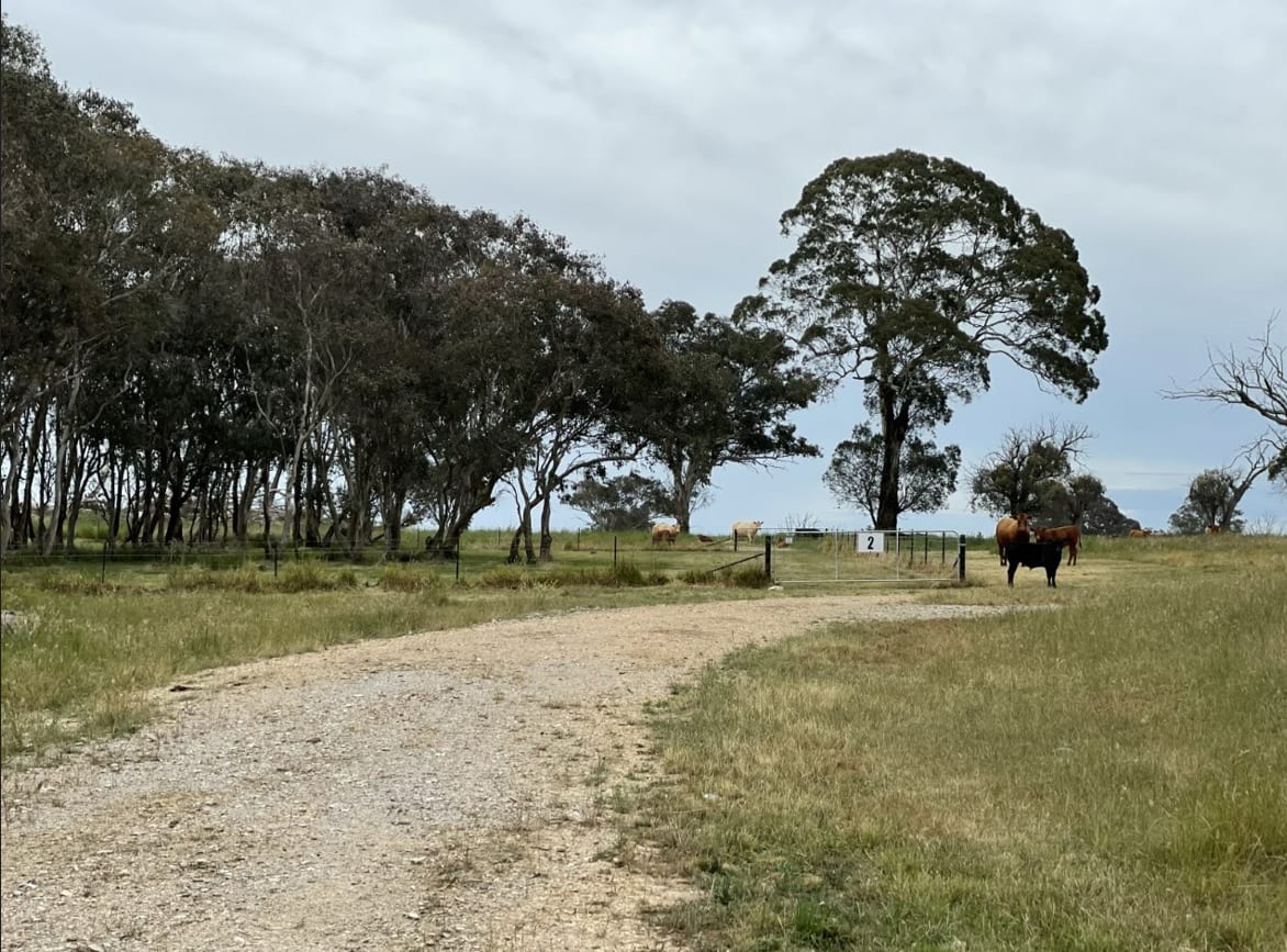 Coots Creek Campground