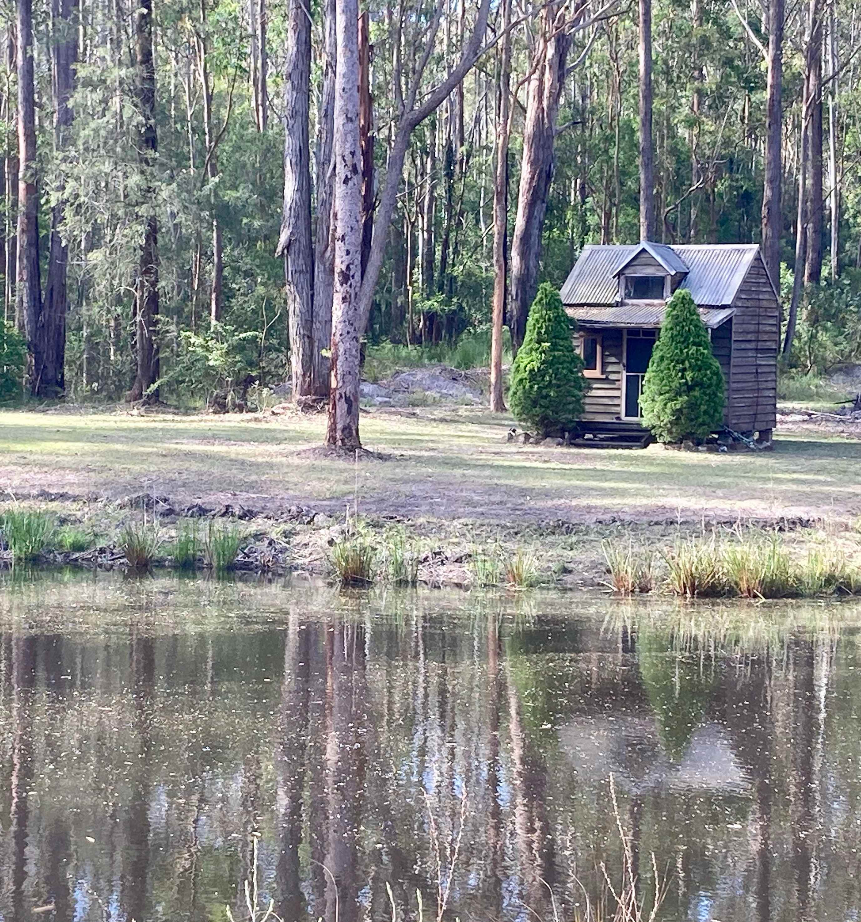 Mistinthegumtrees BUDGET 2 GLAMPING