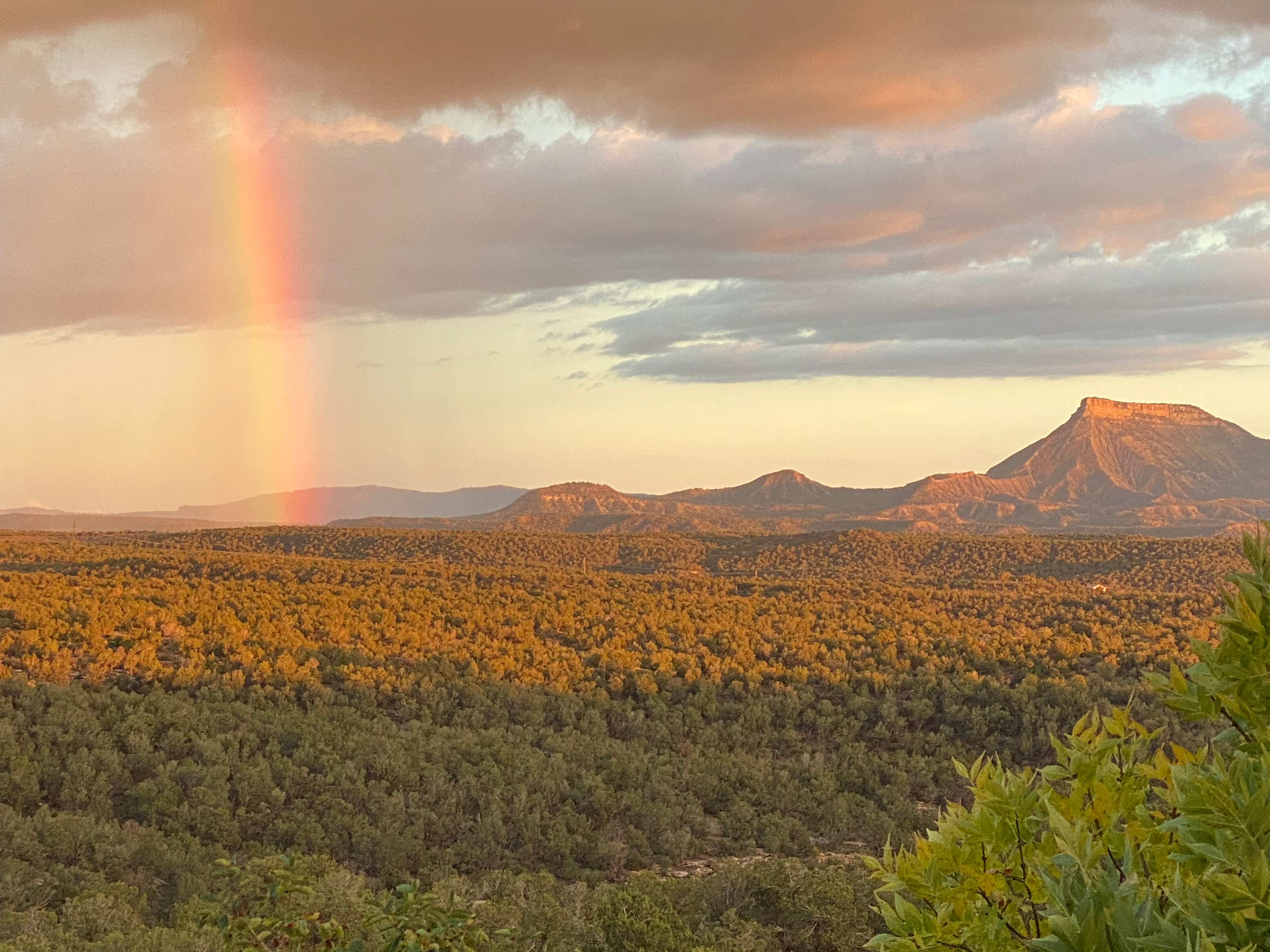 Zuma Bike Ranch & Camp in Cortez
