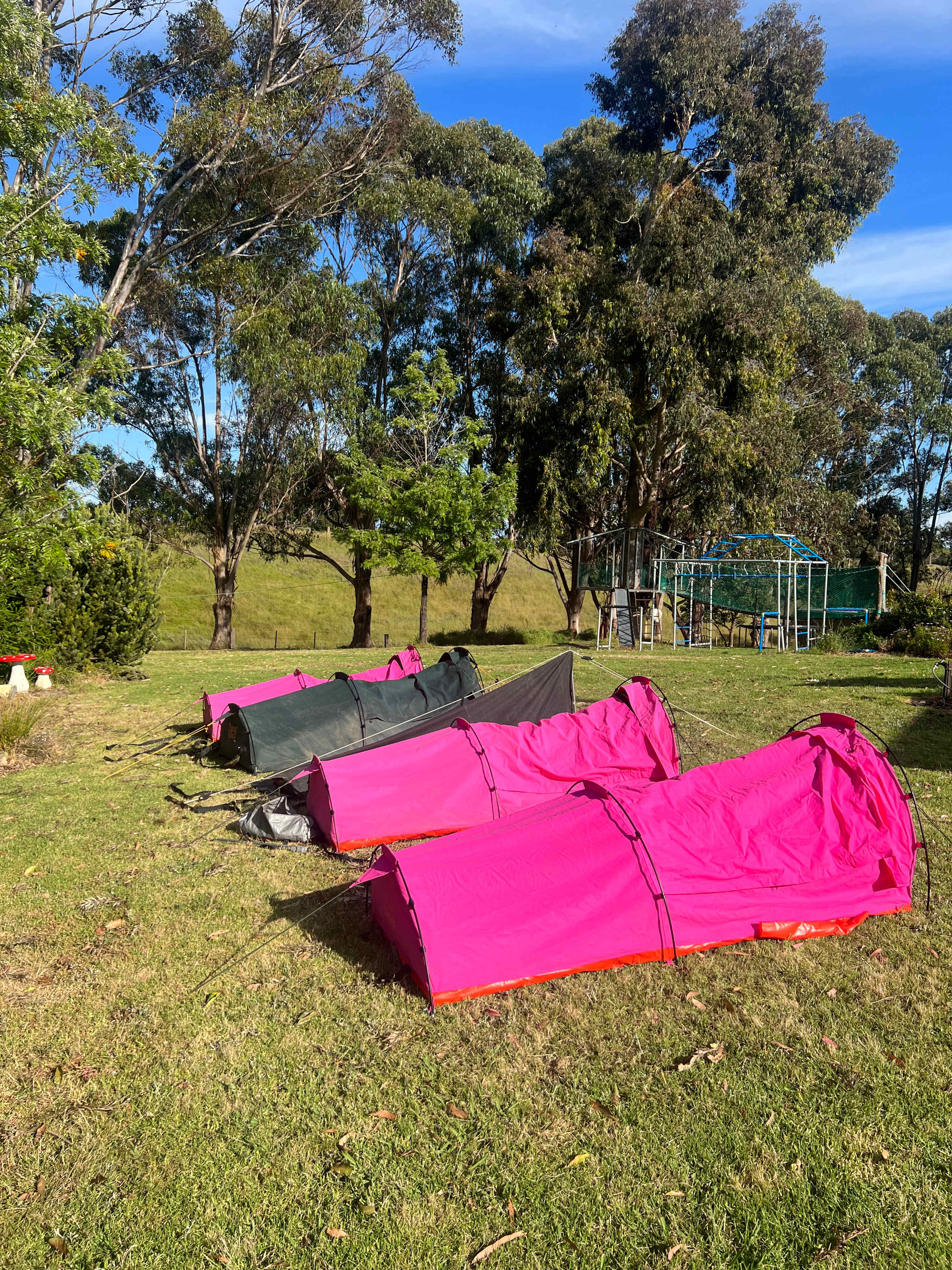 Home among the Gumtrees