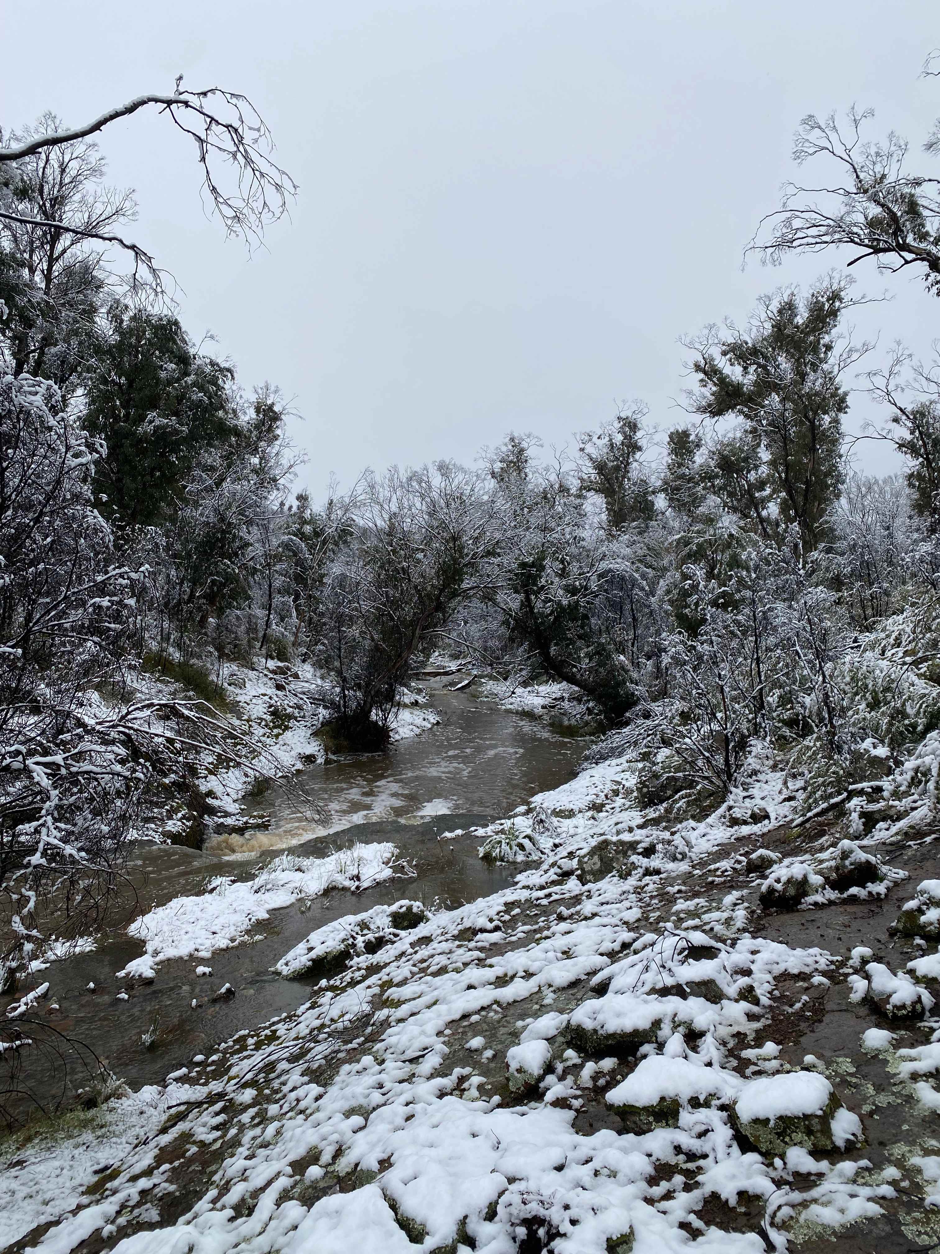 Two Creeks Meet
