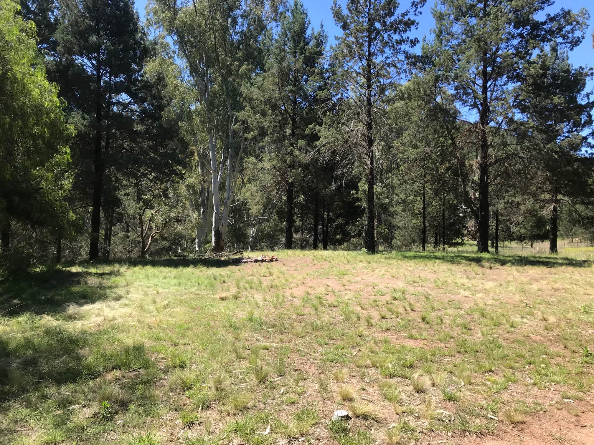 The Enchanting Site - a nice, big, flat site for large groups or multiple set ups with a nice mix of sun and shade. Close to the swimming hole. 