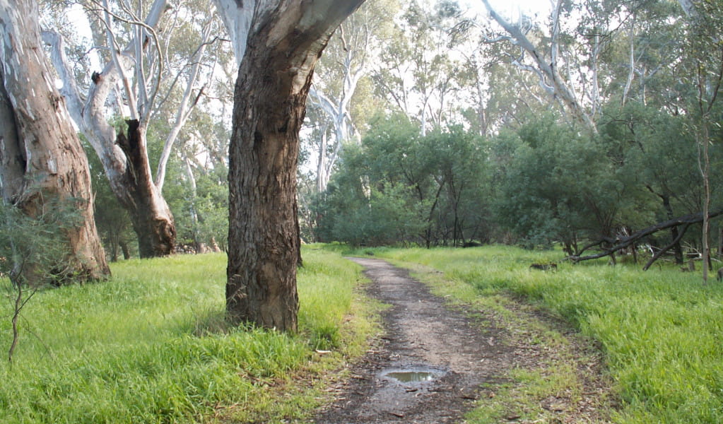Mount Buffalo