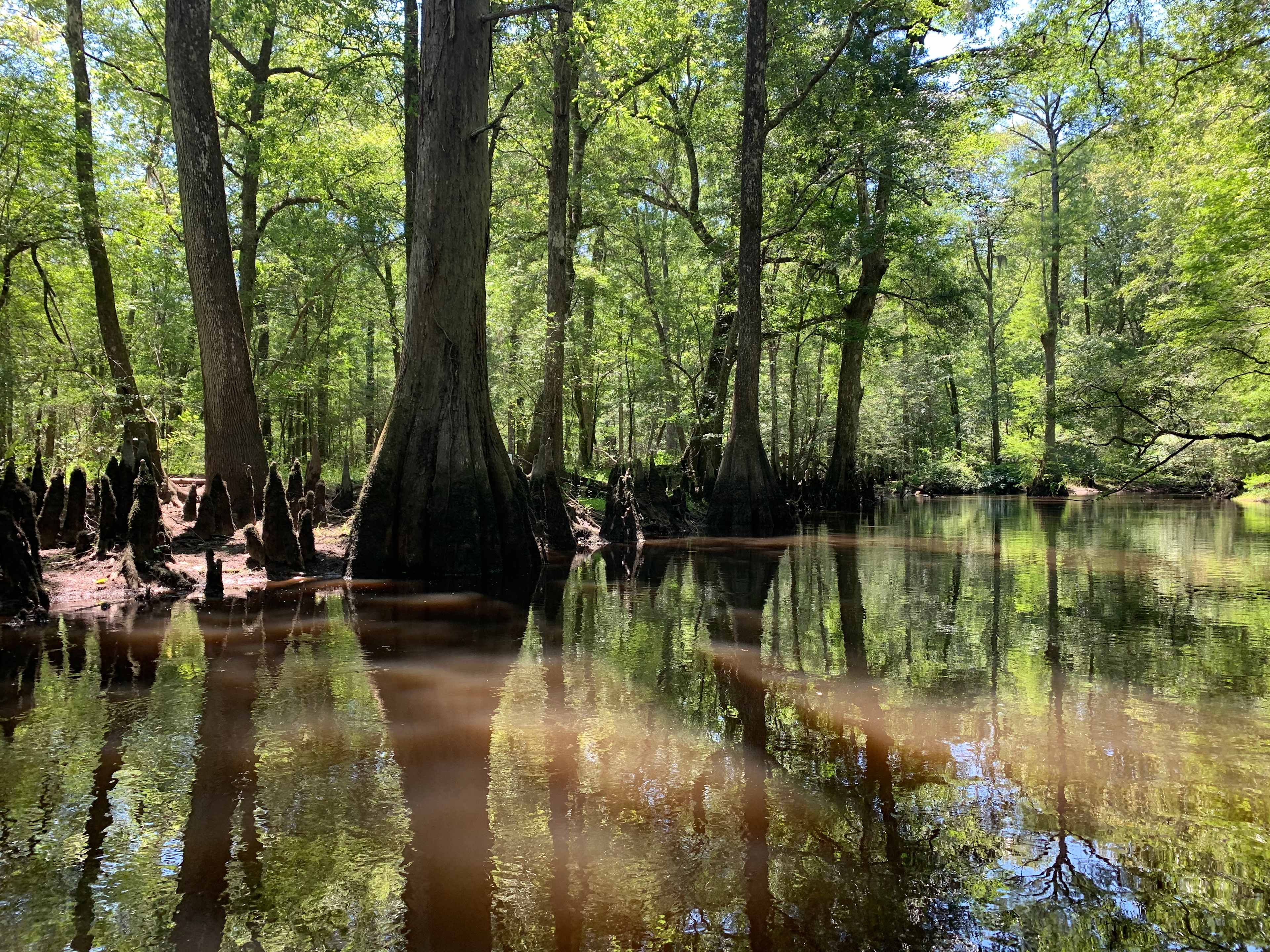 Black Pearl Farms