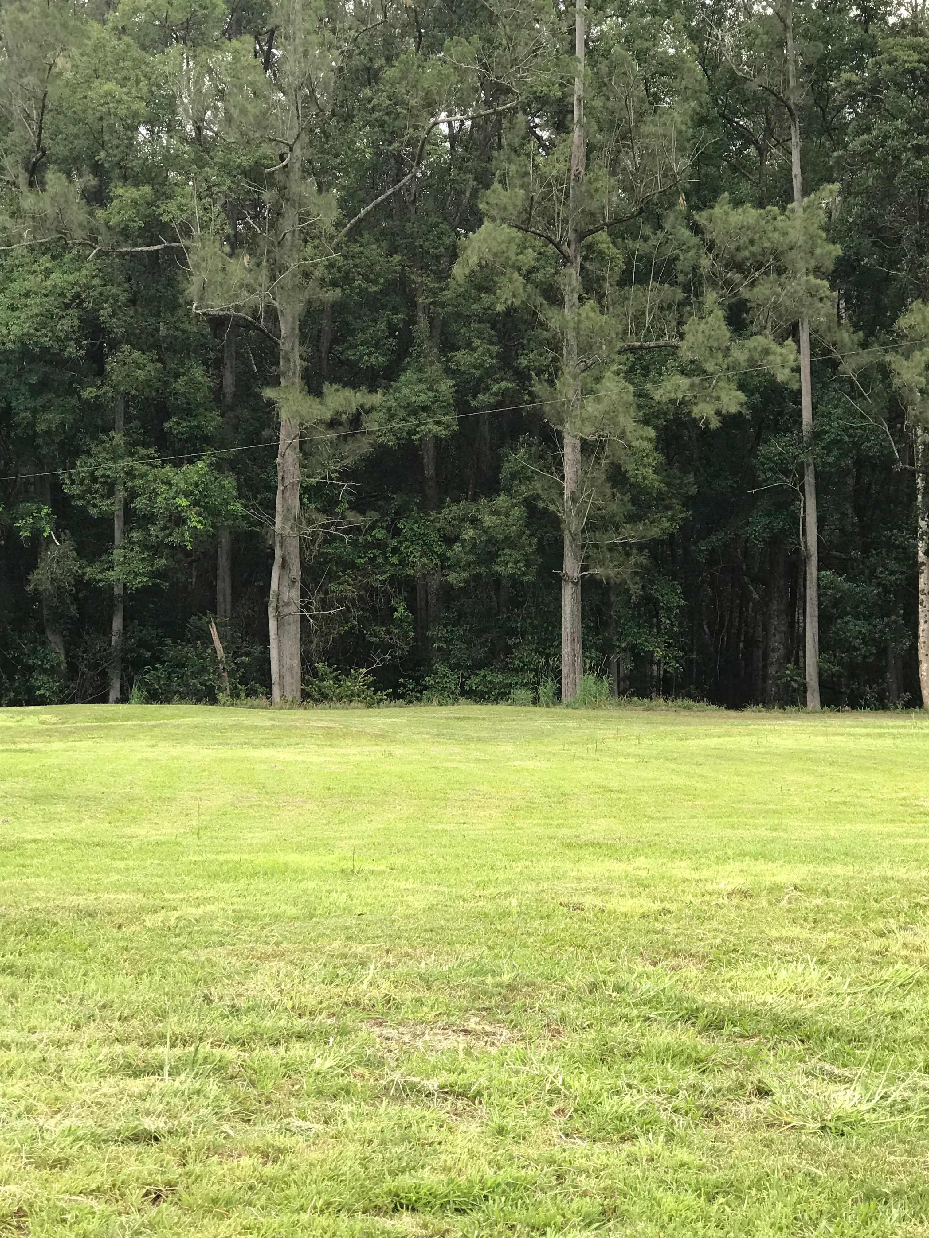 Crystal Creek Springs