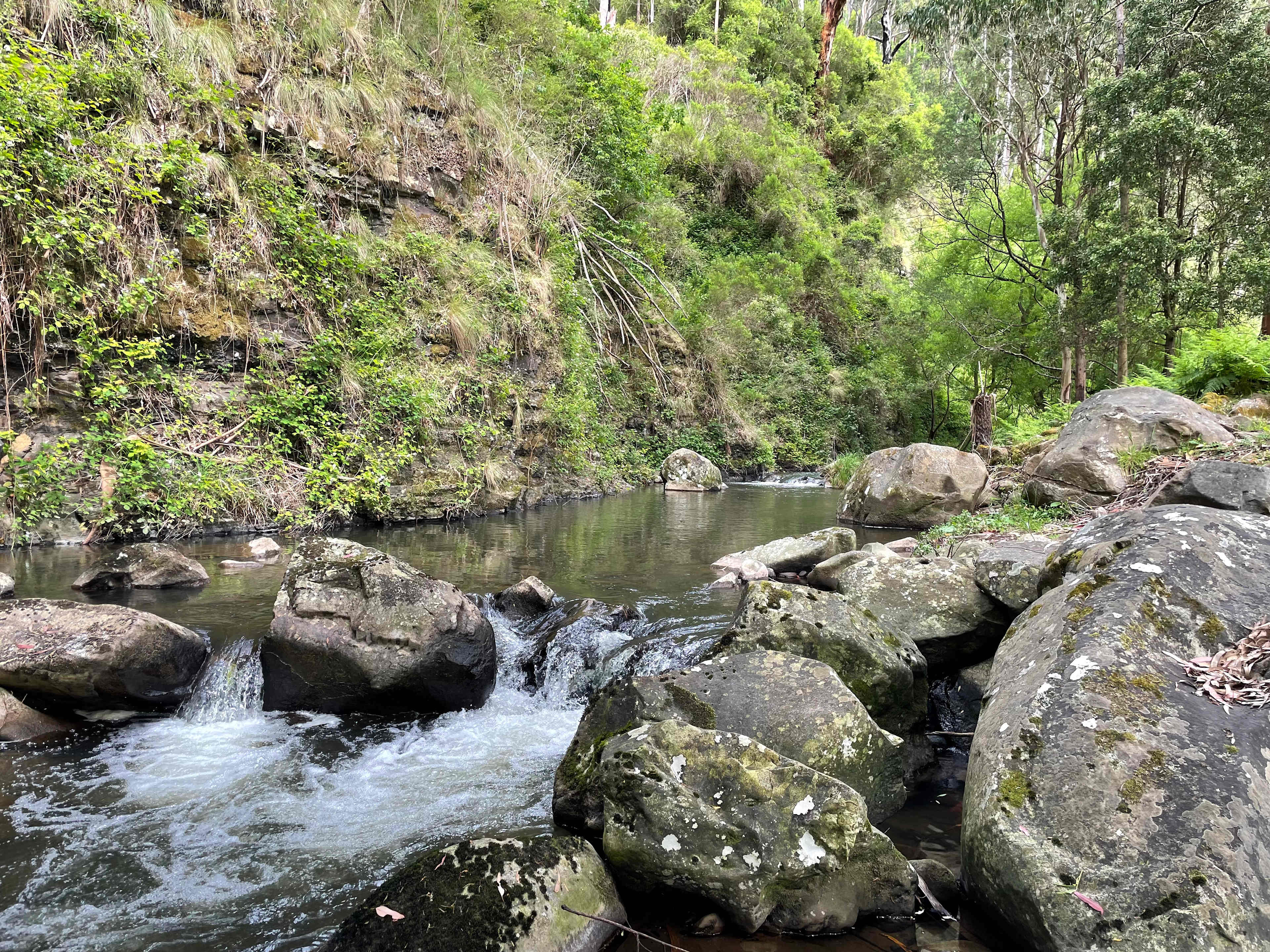 Merrimans Creek Seclusion