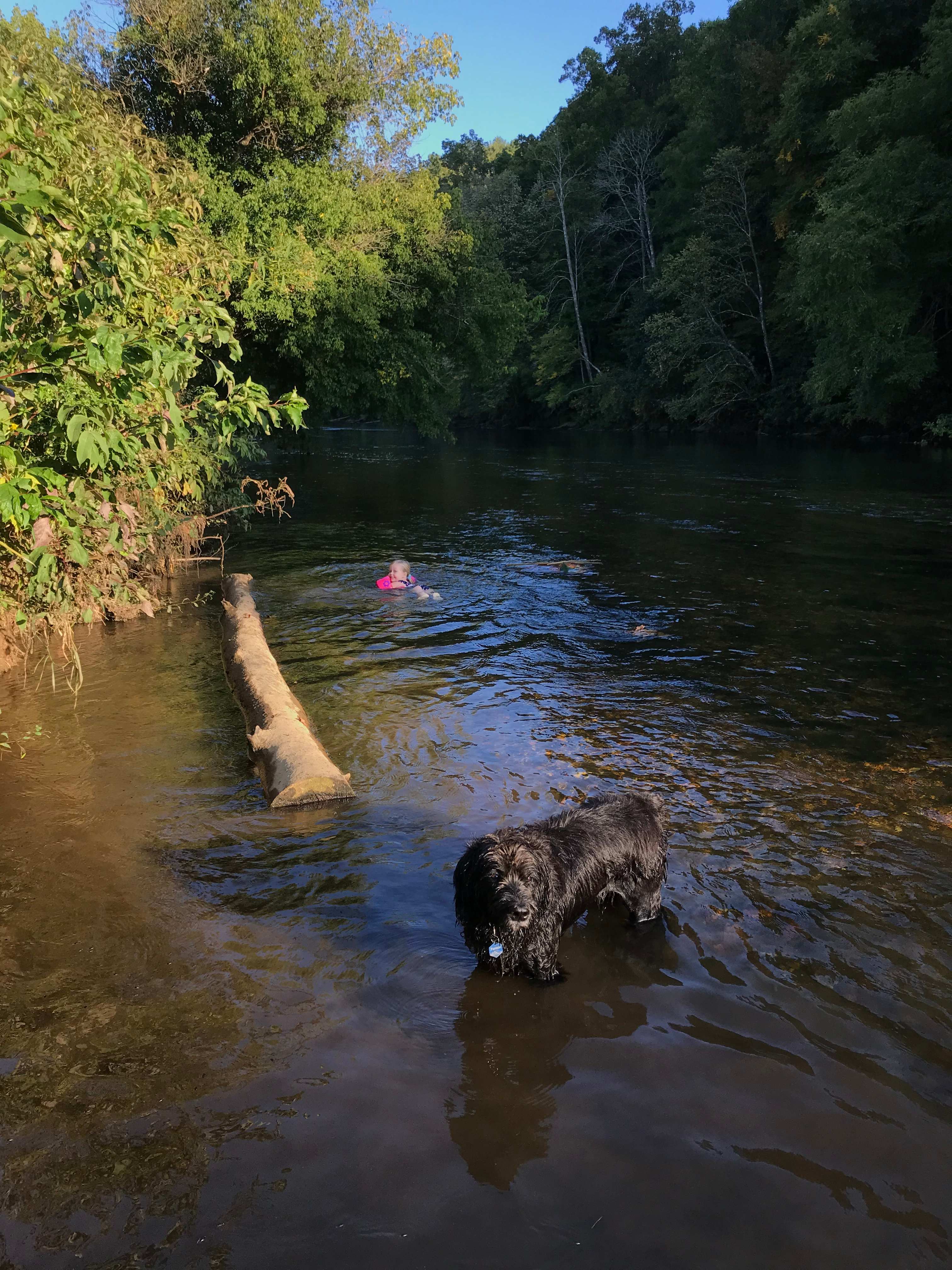Waterdog Campground
