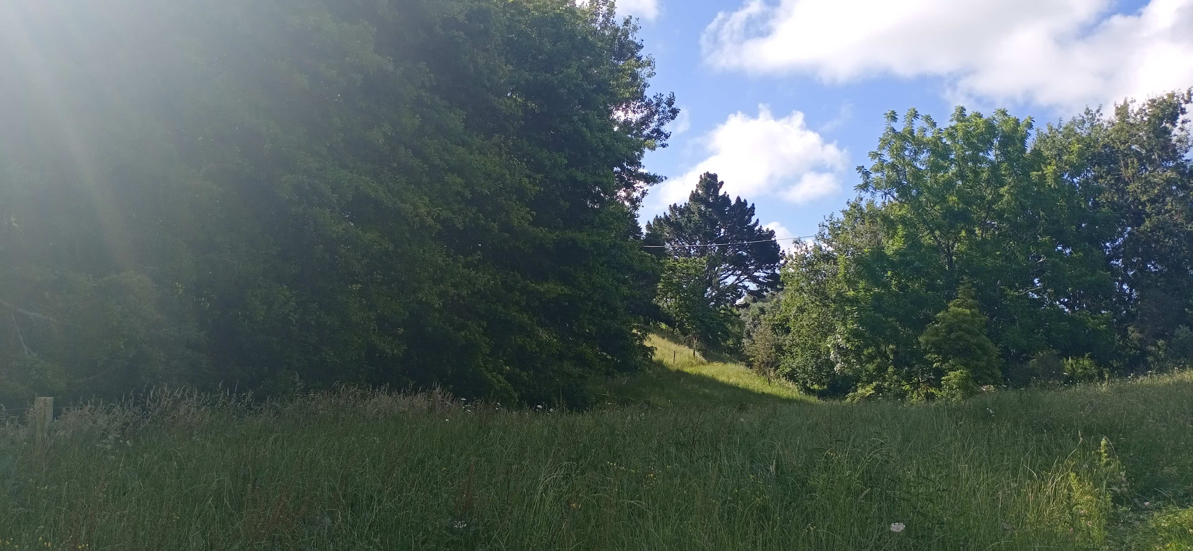 Slobadogavich Acres
