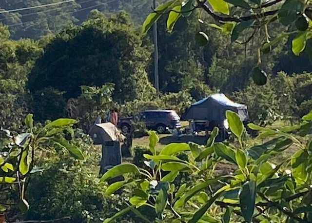 Camping on Mains Ridge