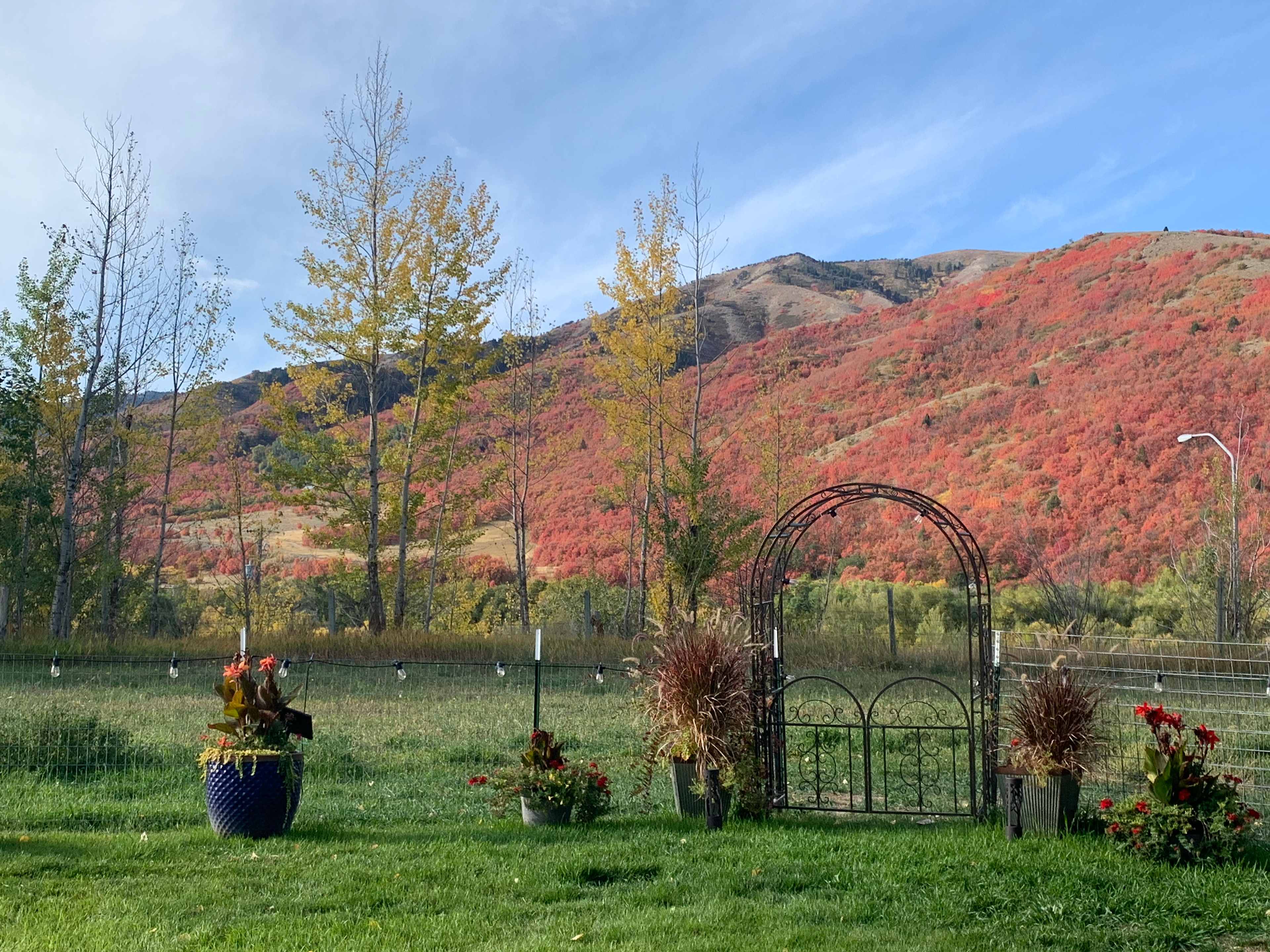 Looking southwest at gate entrance to large lawn from the field where you will camp.