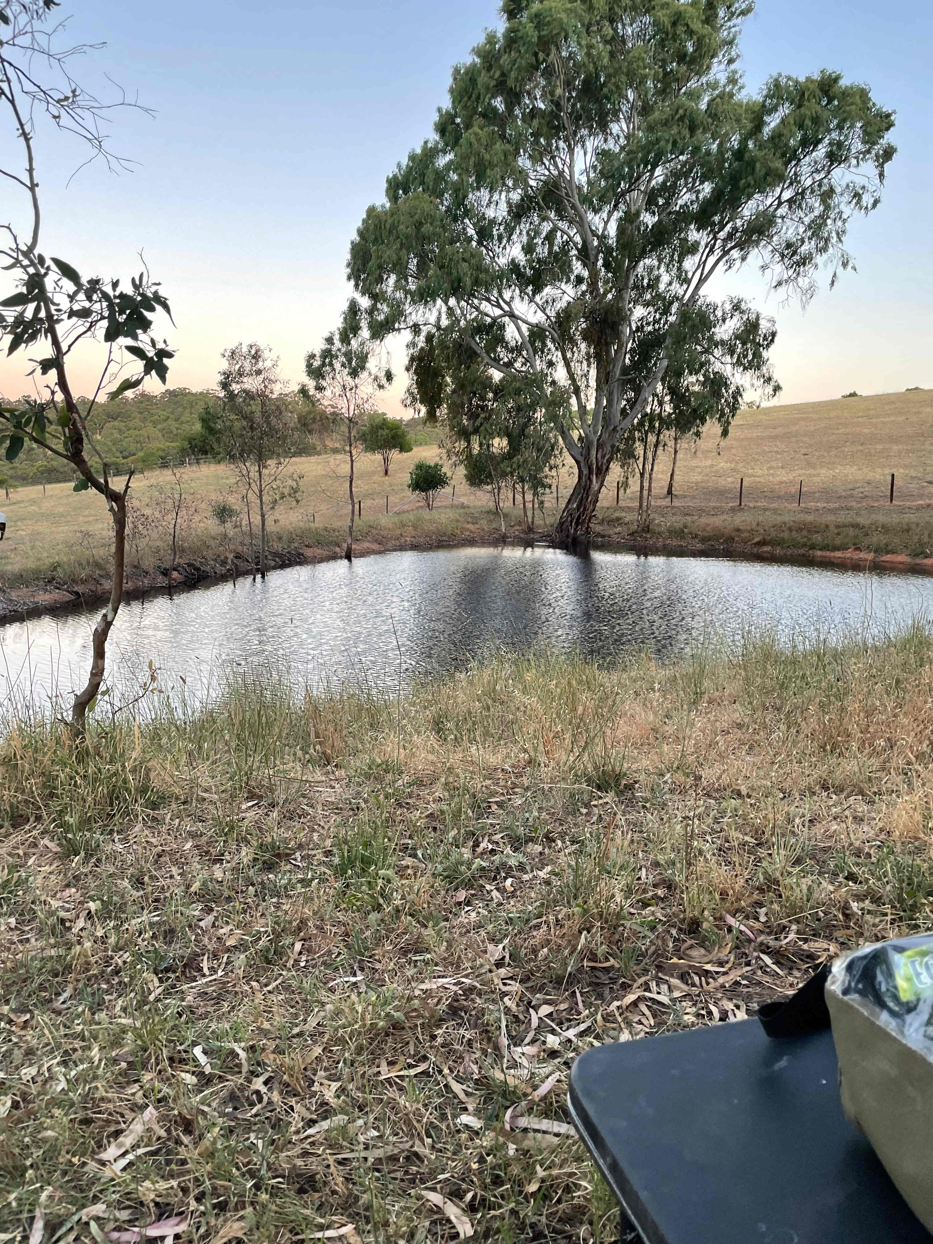 Cockatoo Valley Tiny Vacations