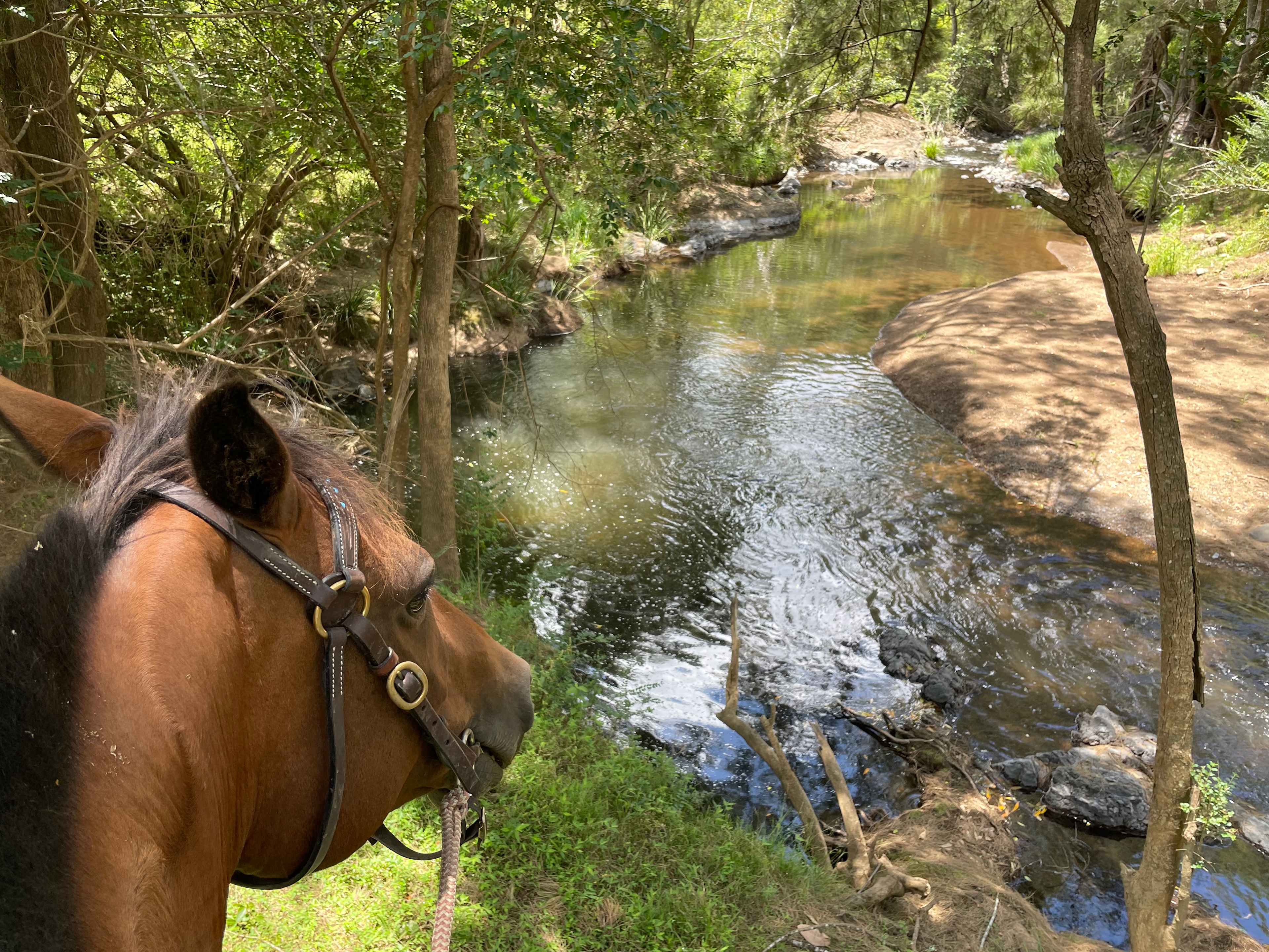 View from creek side camping spot 