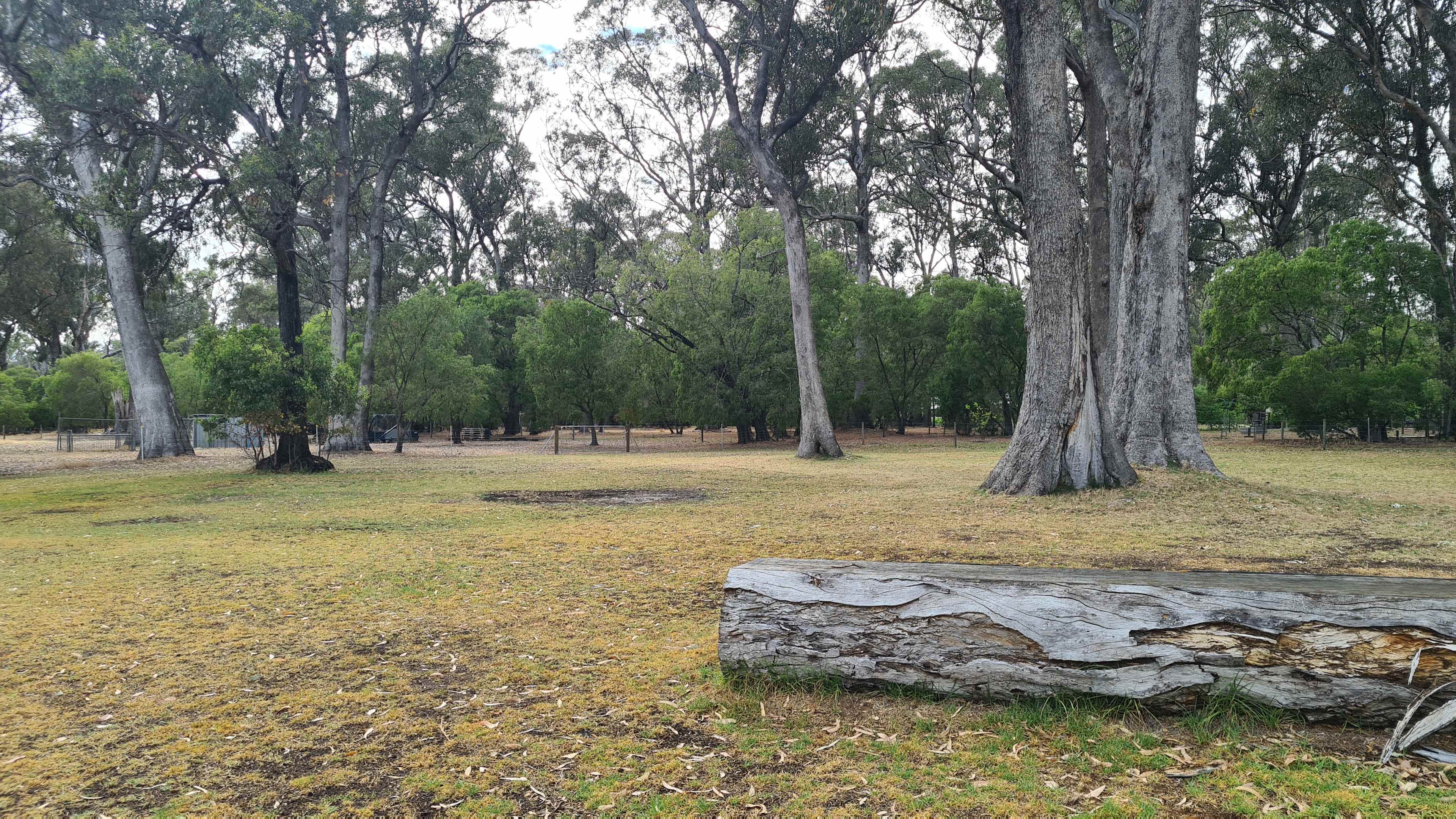 Site 2