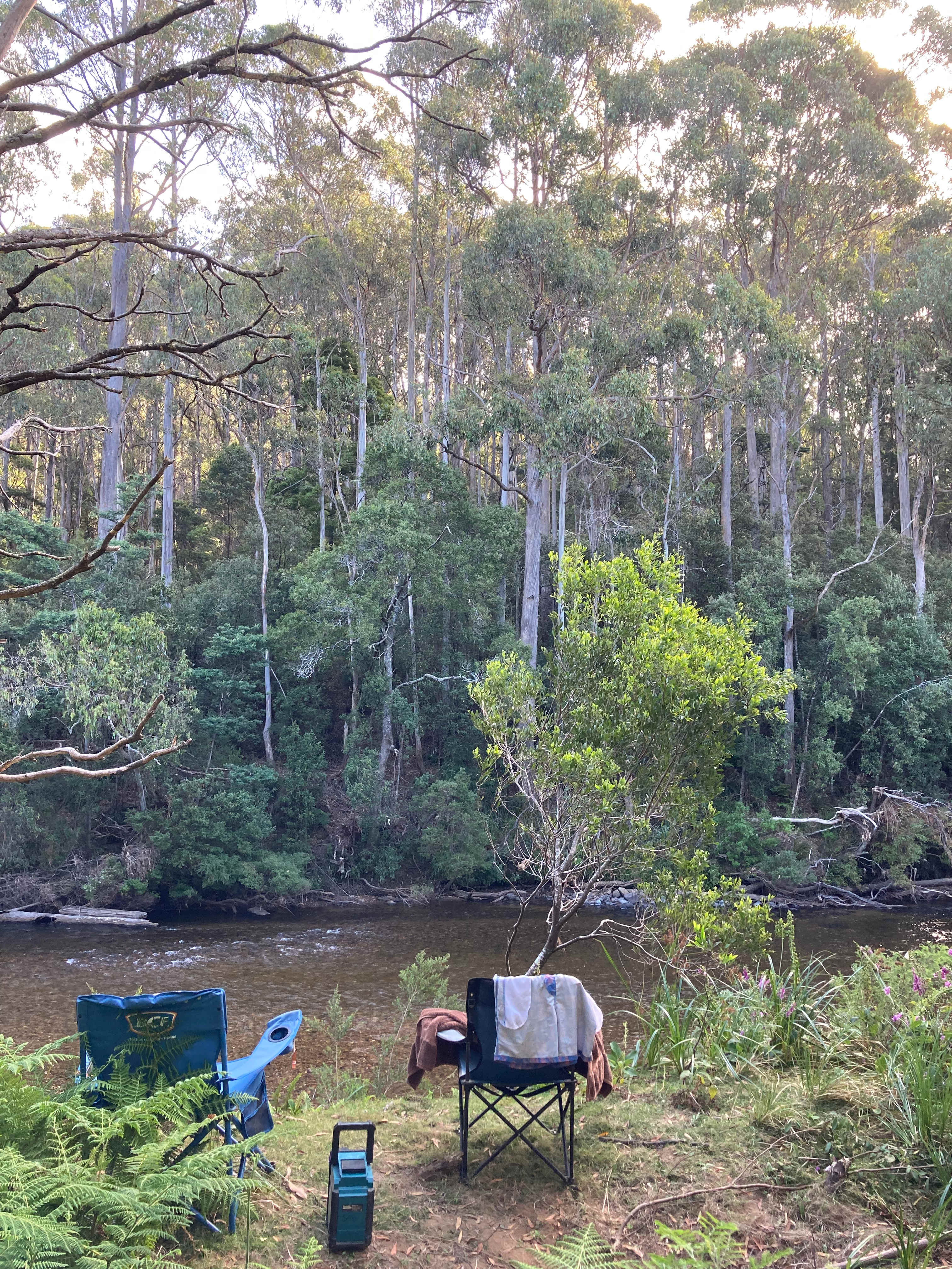 Leven River Camping On Wattle Farm
