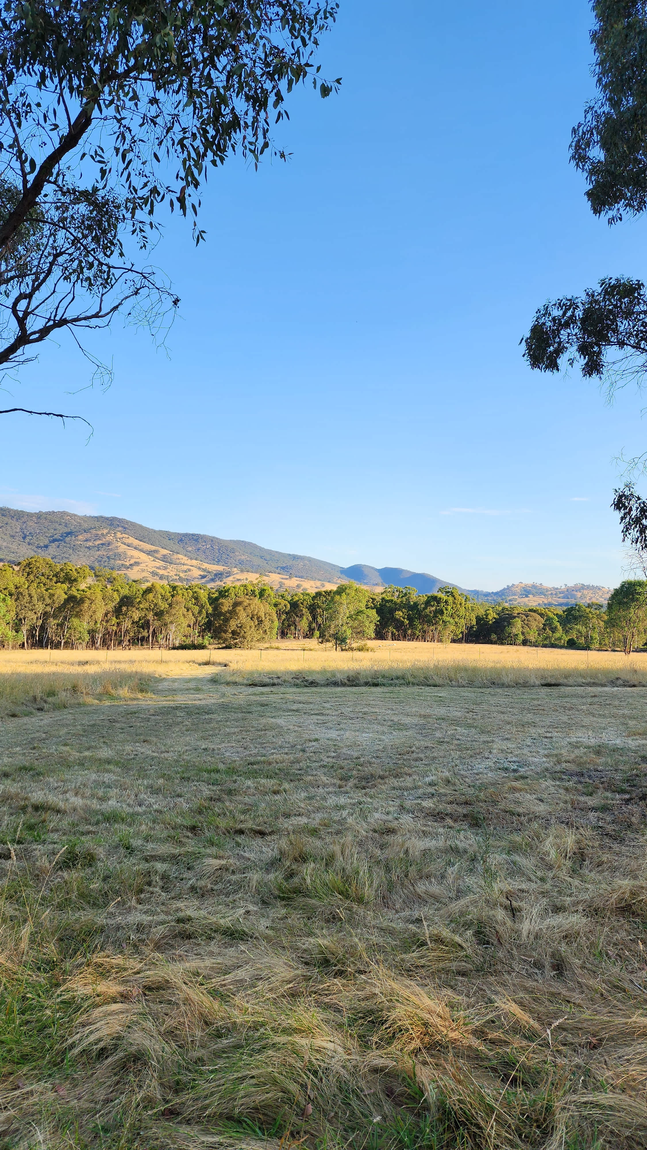 View from Site 3 - Private Grassy Flat
