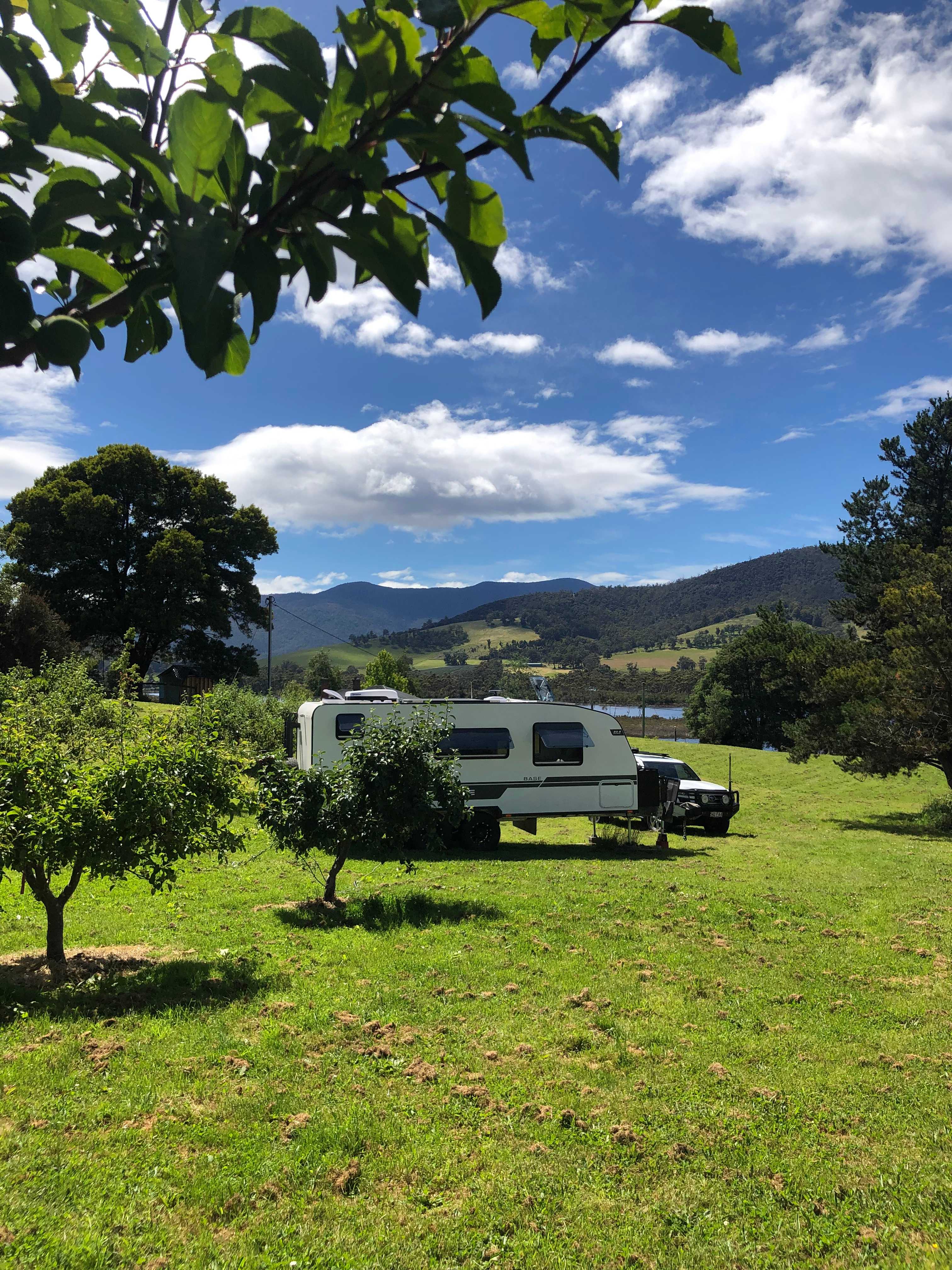 Orchard site
