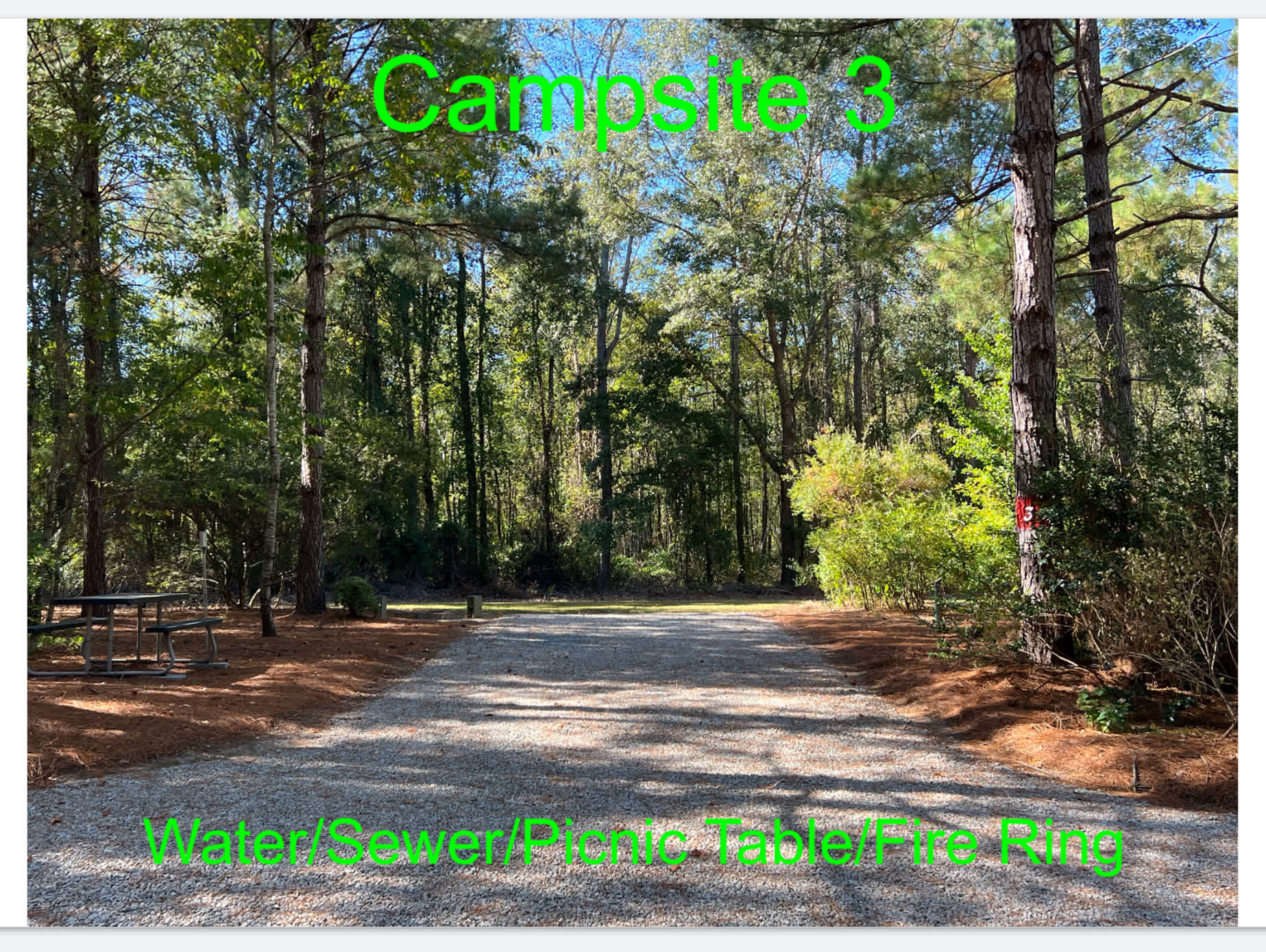 Cedar Creek Campground at Elease